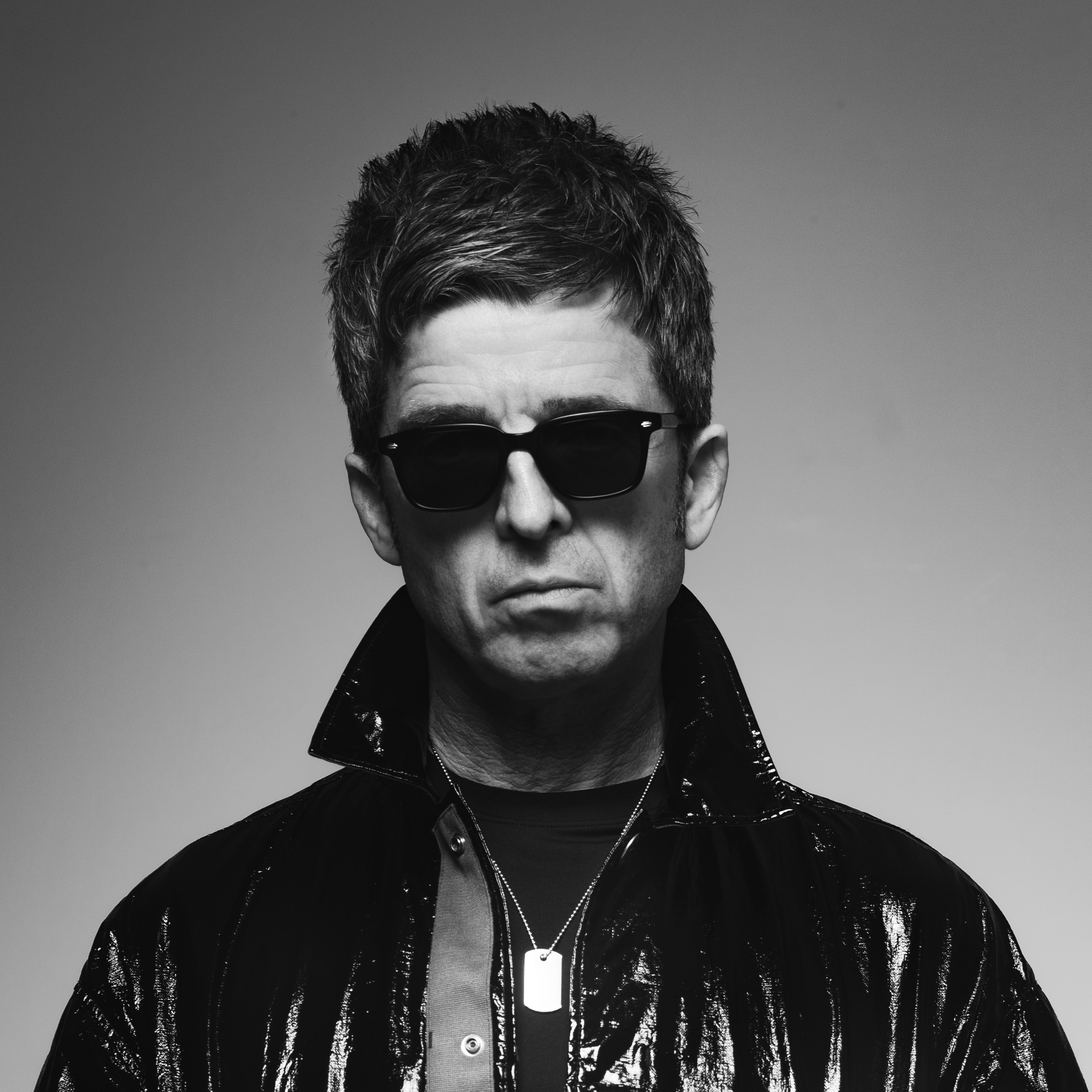 Noel Gallagher's High Flying Birds Portrait