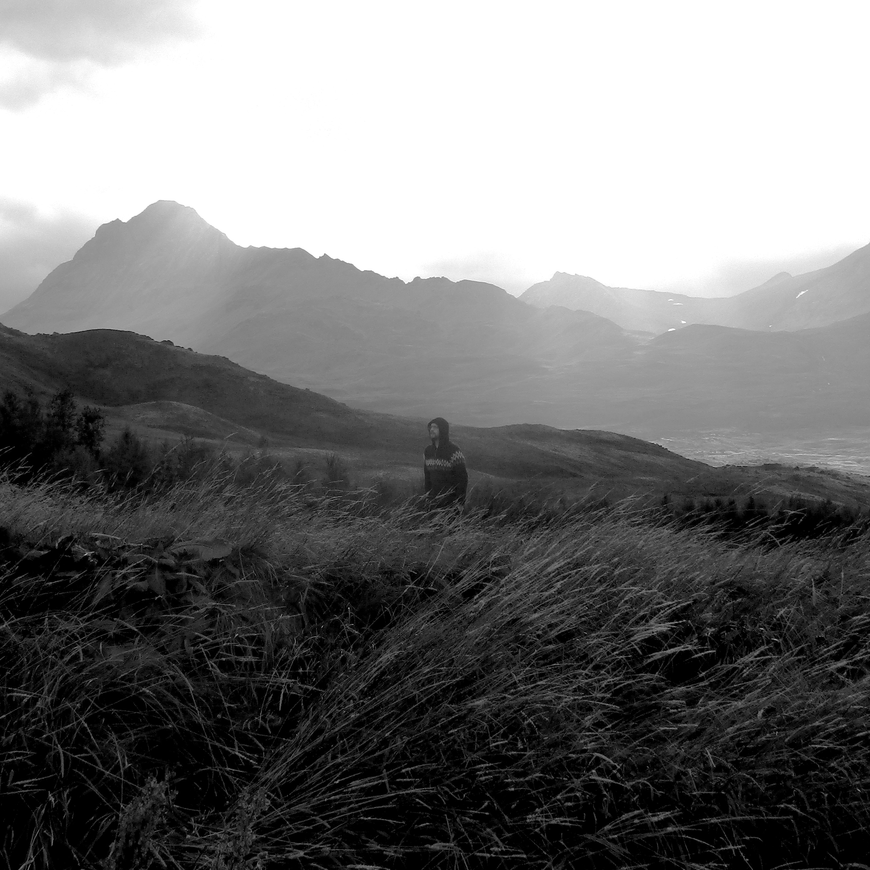 Raised By Swans Portrait