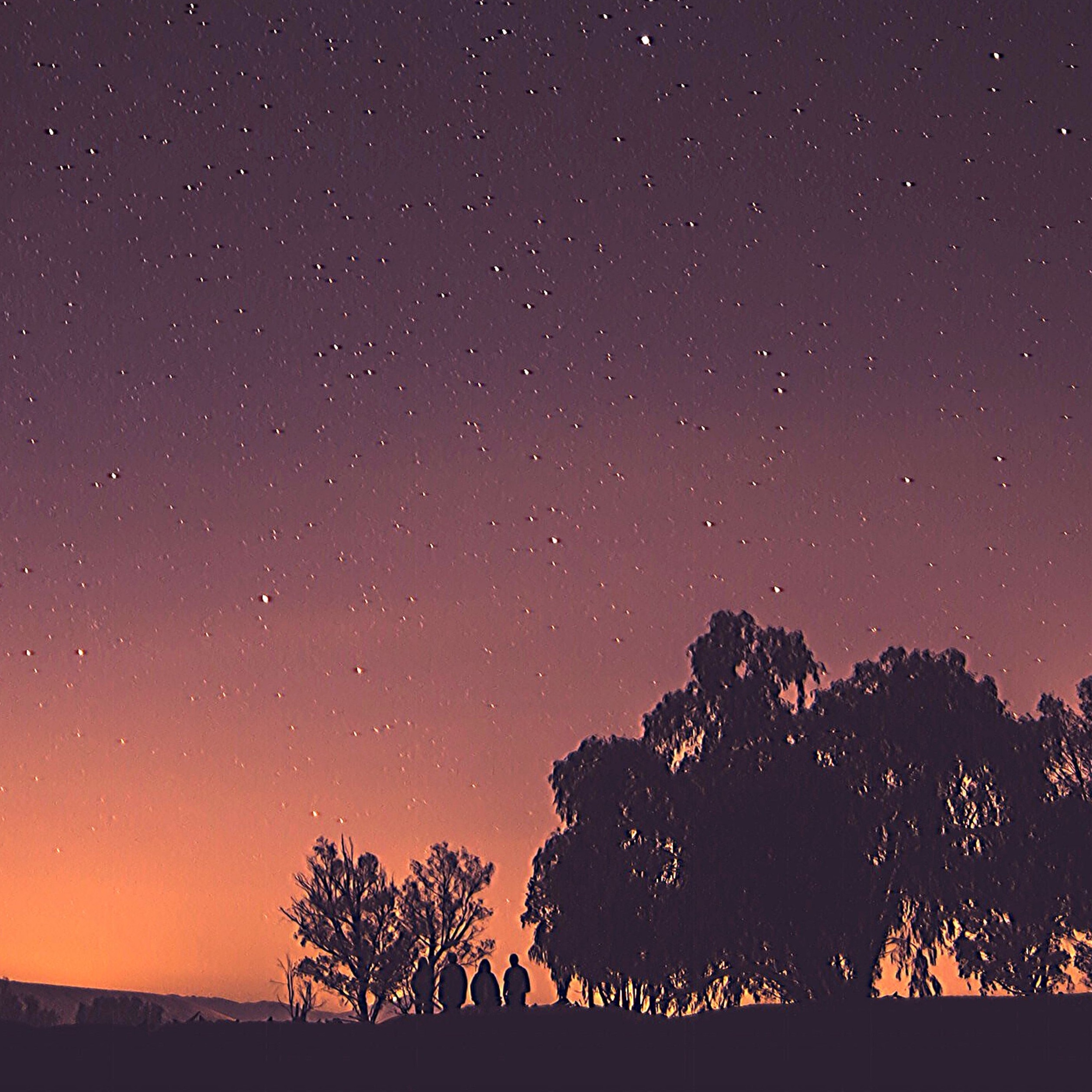 Will Morrison Portrait