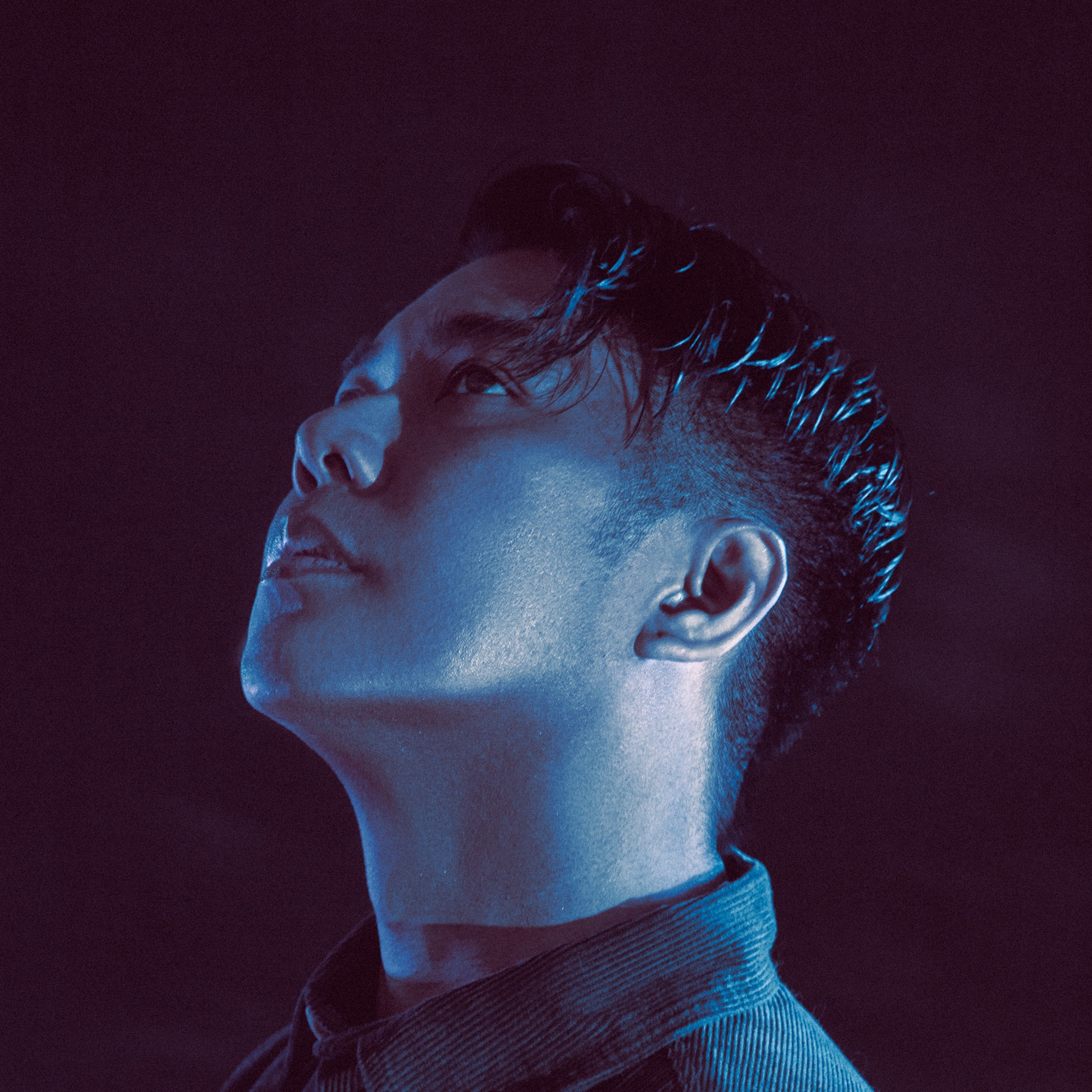 Blackbird Blackbird portrait