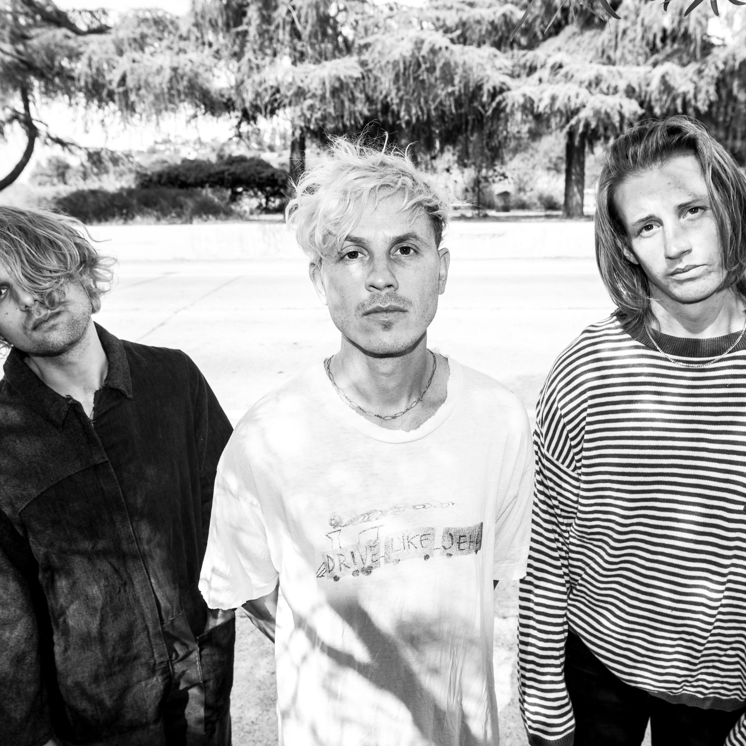 Tennis System Portrait