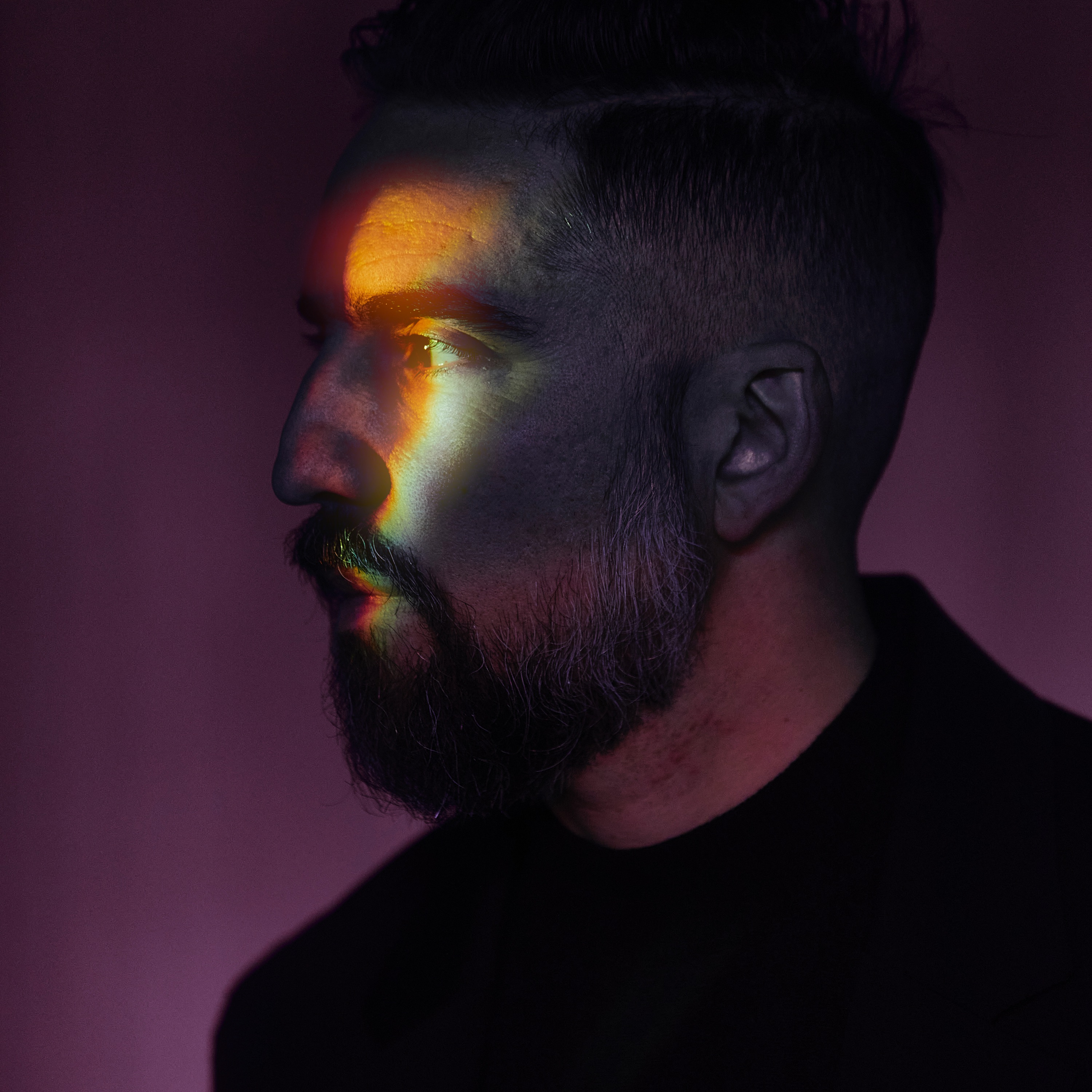 The Album Leaf Portrait