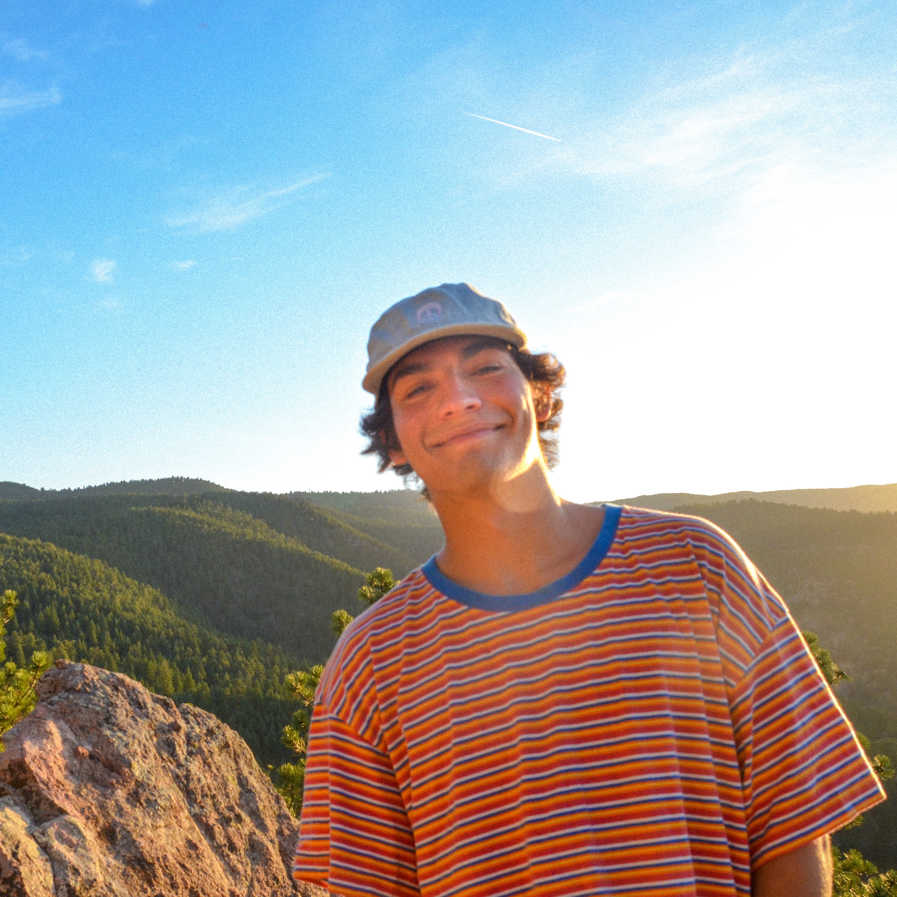 Disco Lines Portrait