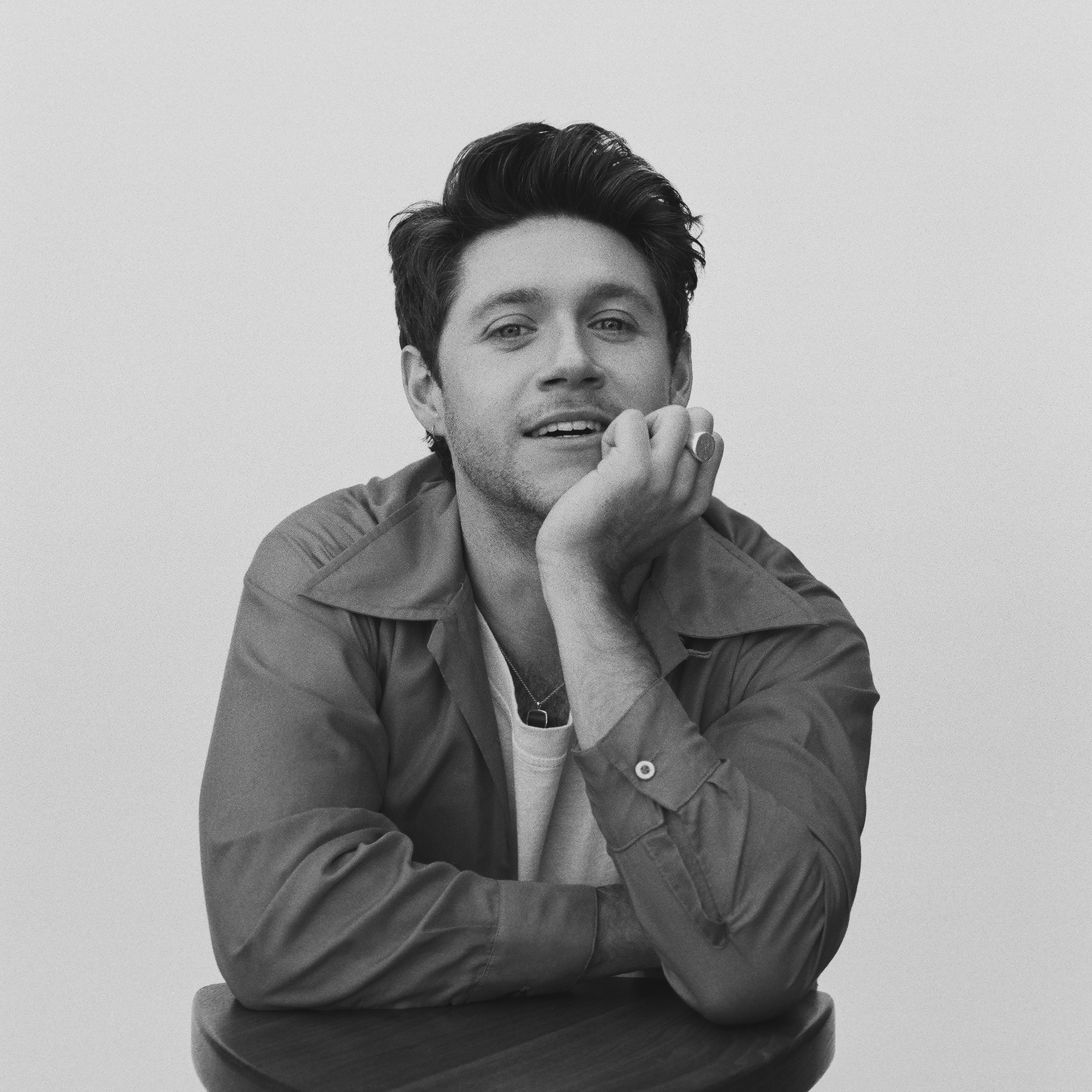 Niall Horan Portrait