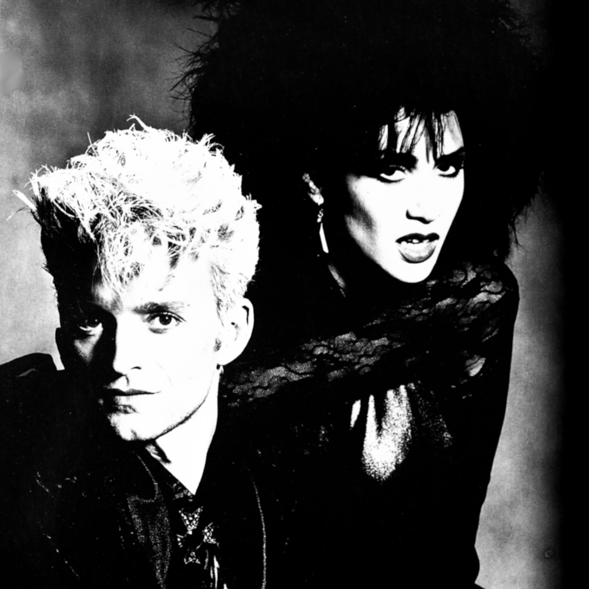 Vicious Pink Phenomena Portrait