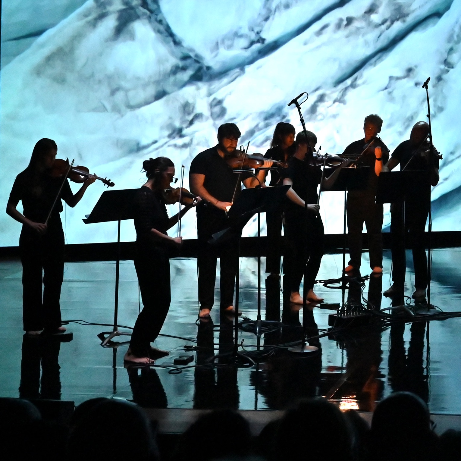 Manchester Collective Portrait