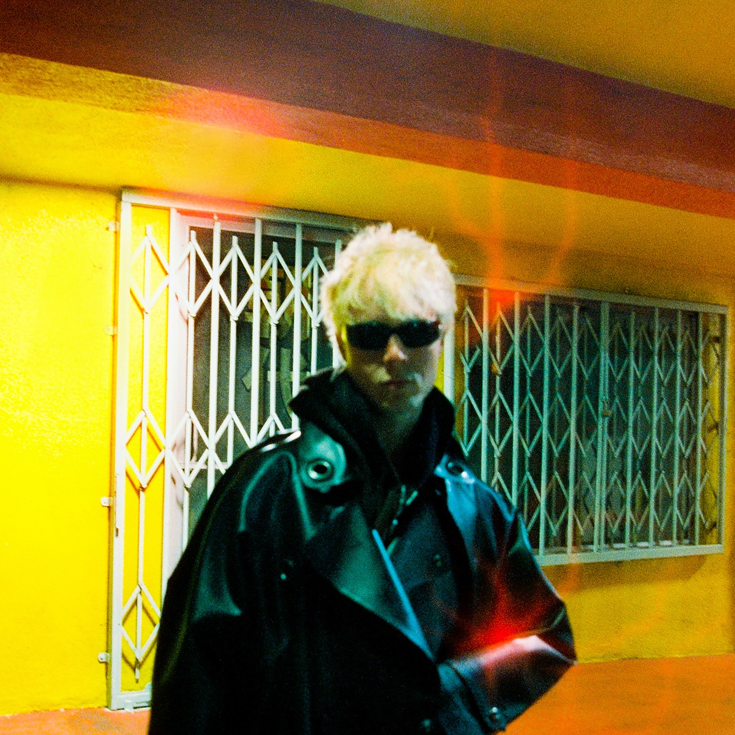 Panther Modern Portrait