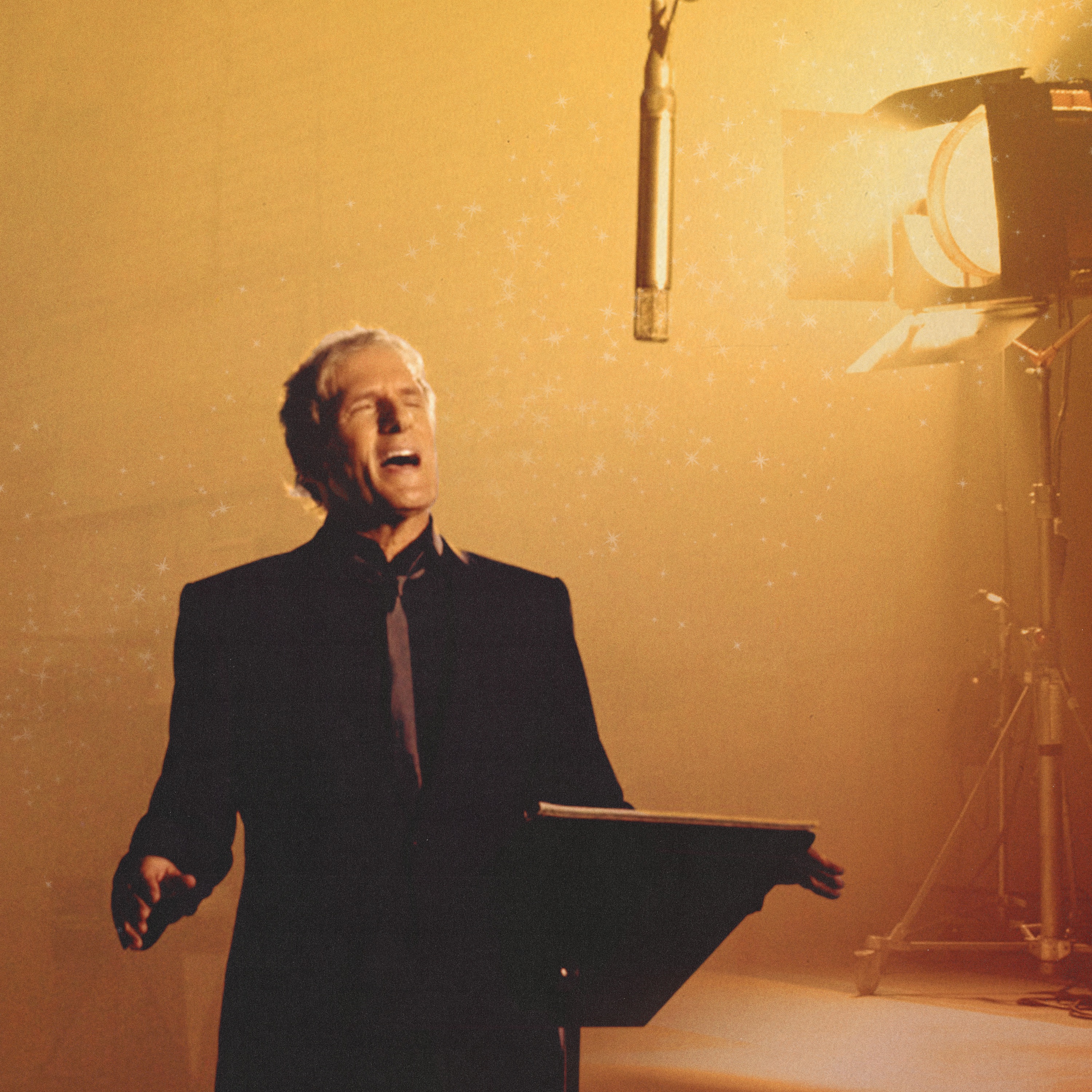 Michael Bolton Portrait