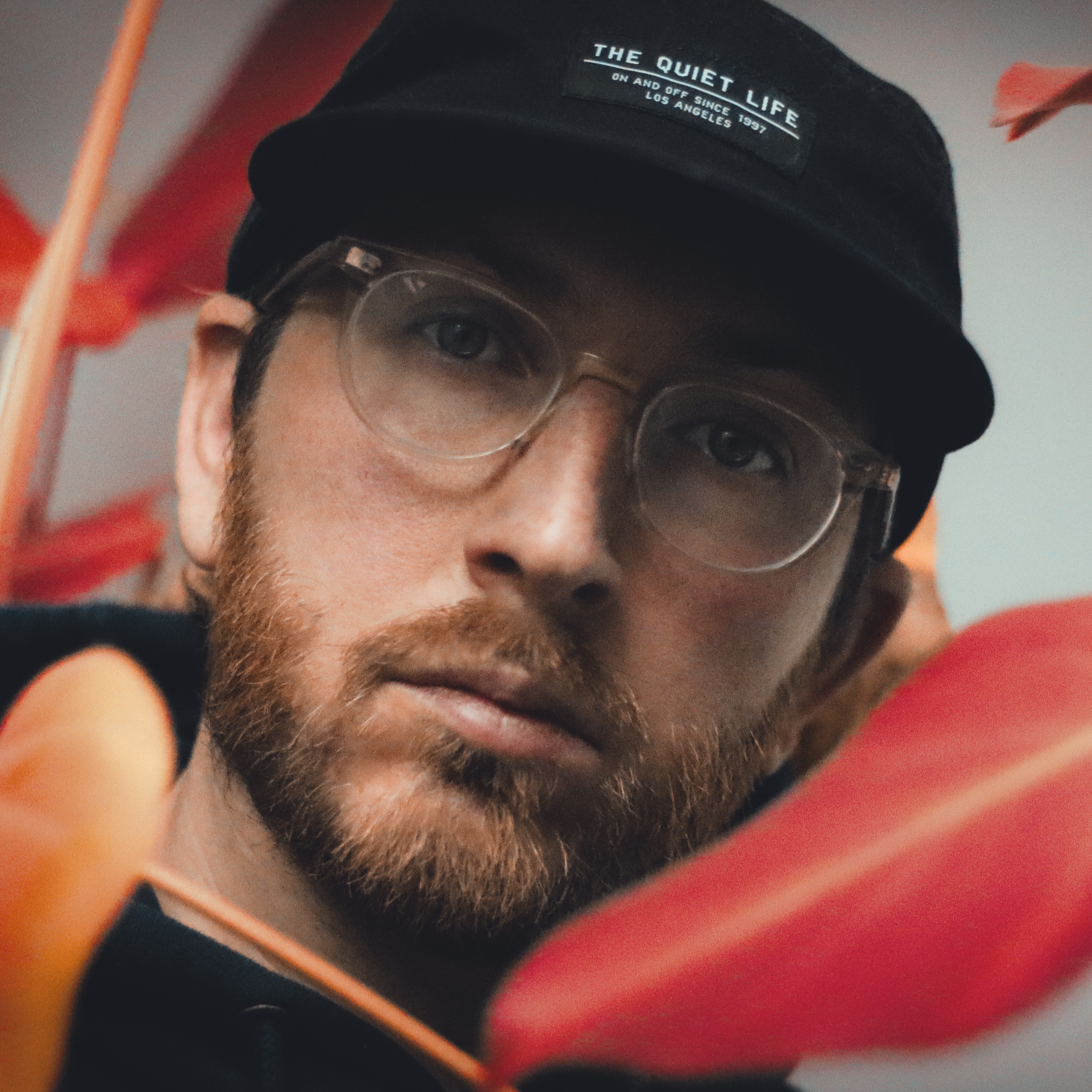 Message To Bears Portrait