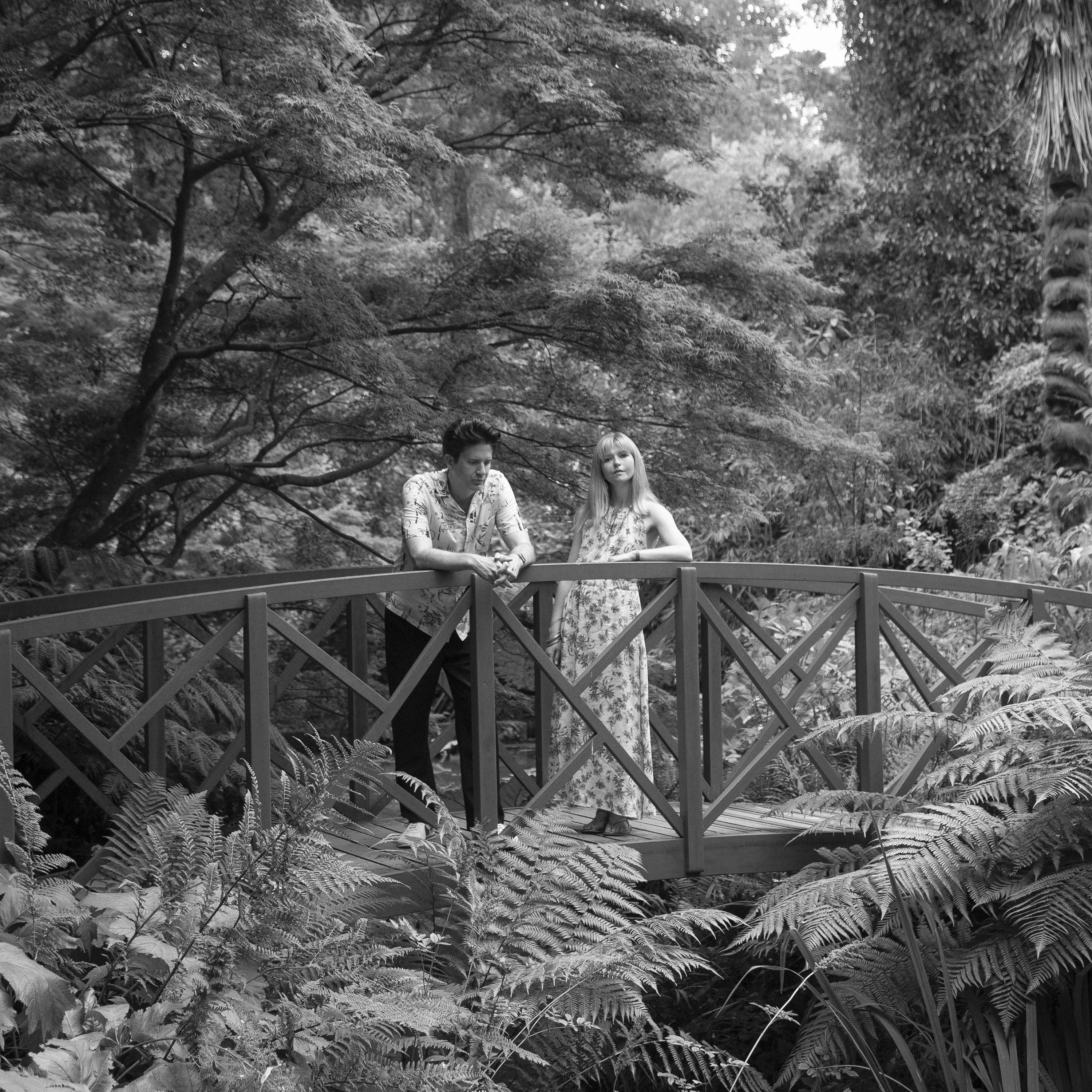 Still Corners Portrait