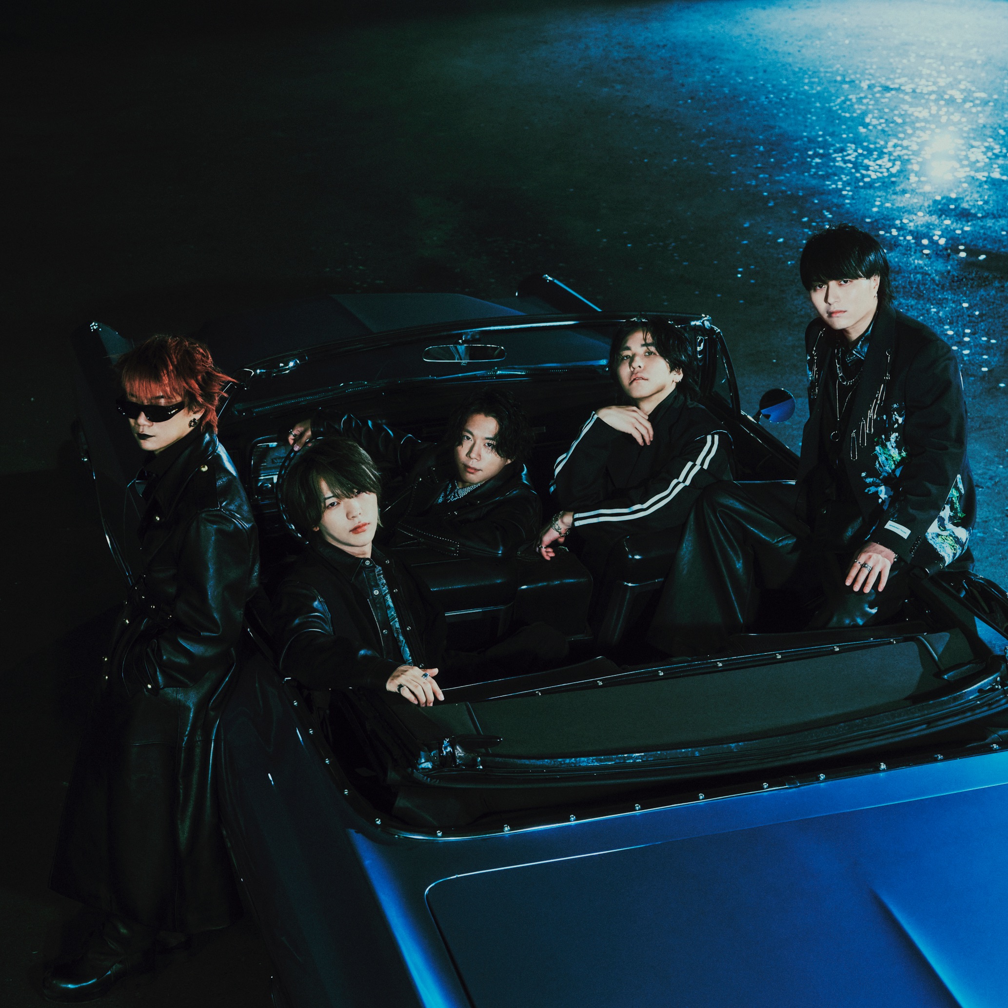 Novelbright Portrait