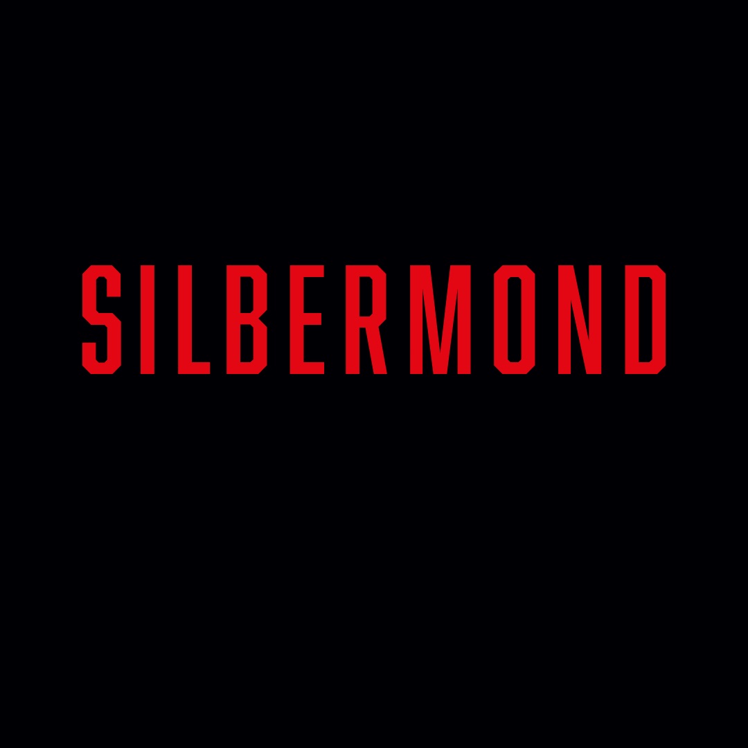 Silbermond Portrait