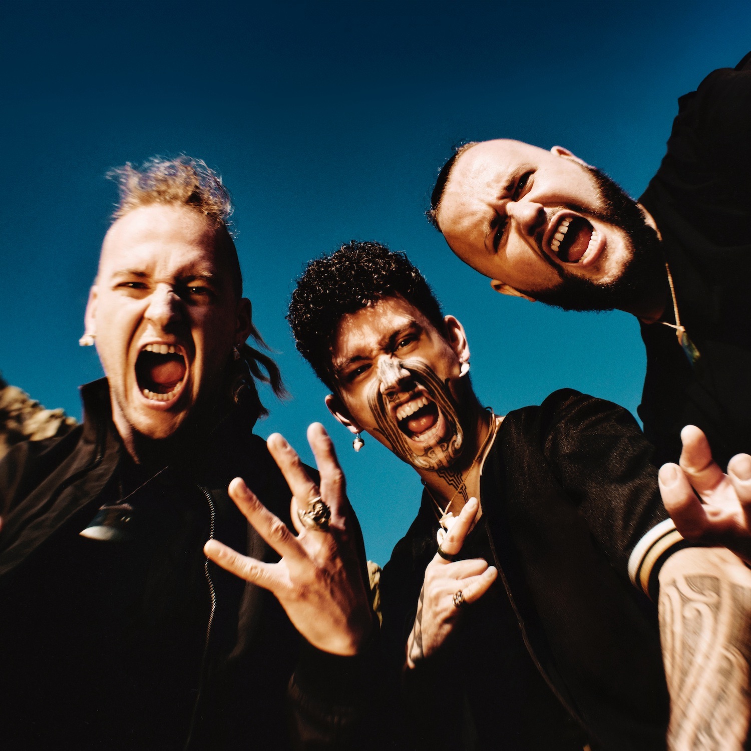 Alien Weaponry portrait