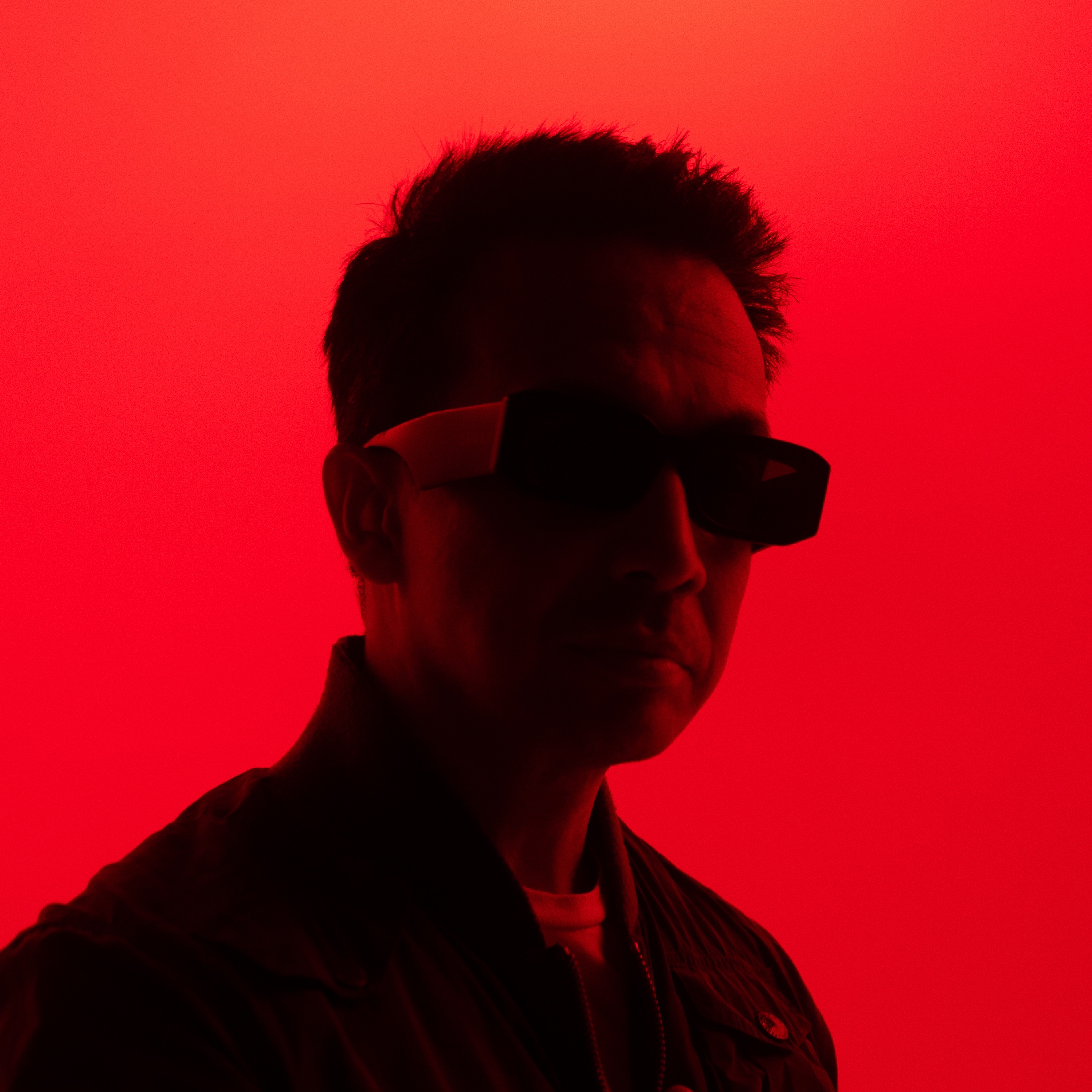 Laidback Luke Portrait