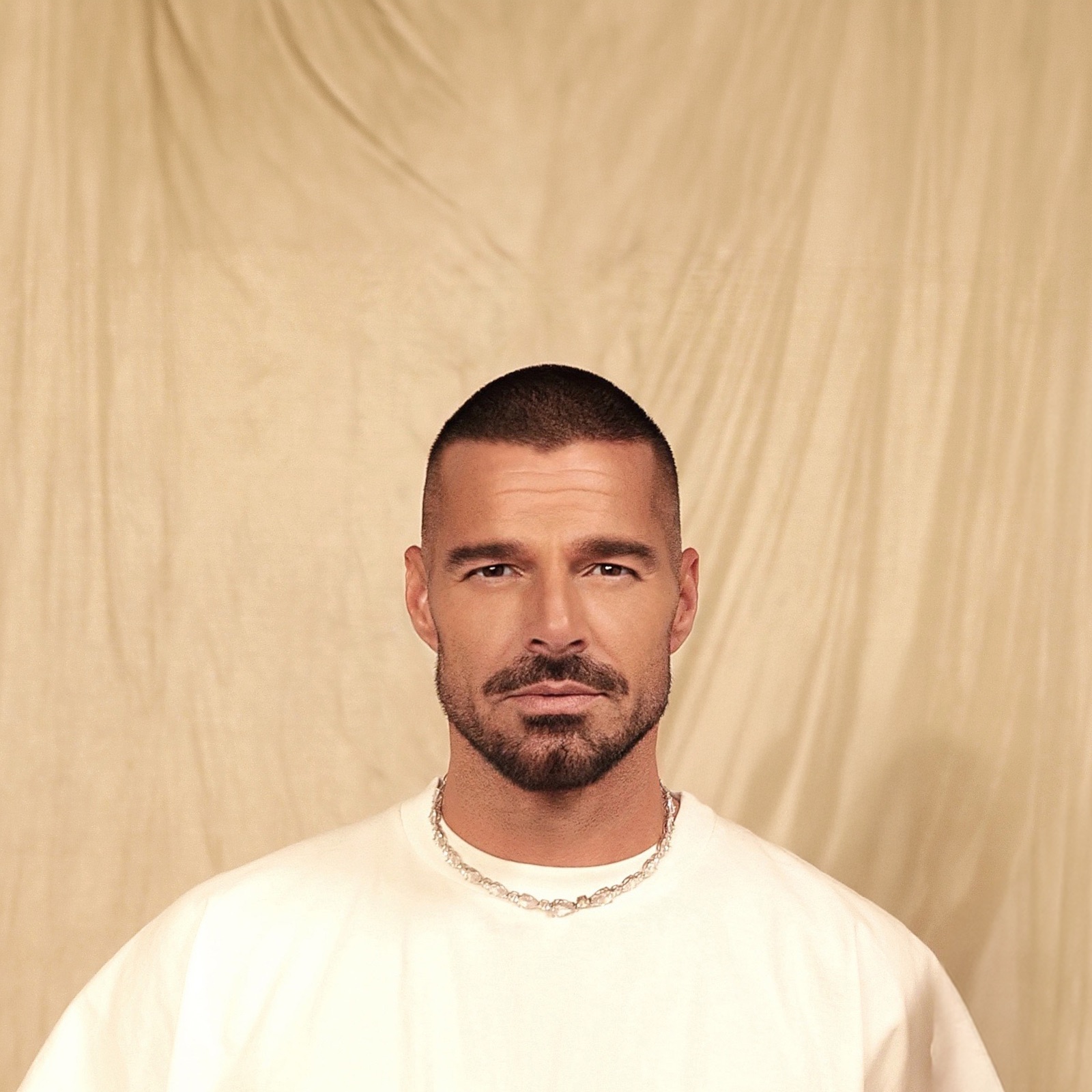 Ricky Martin Portrait