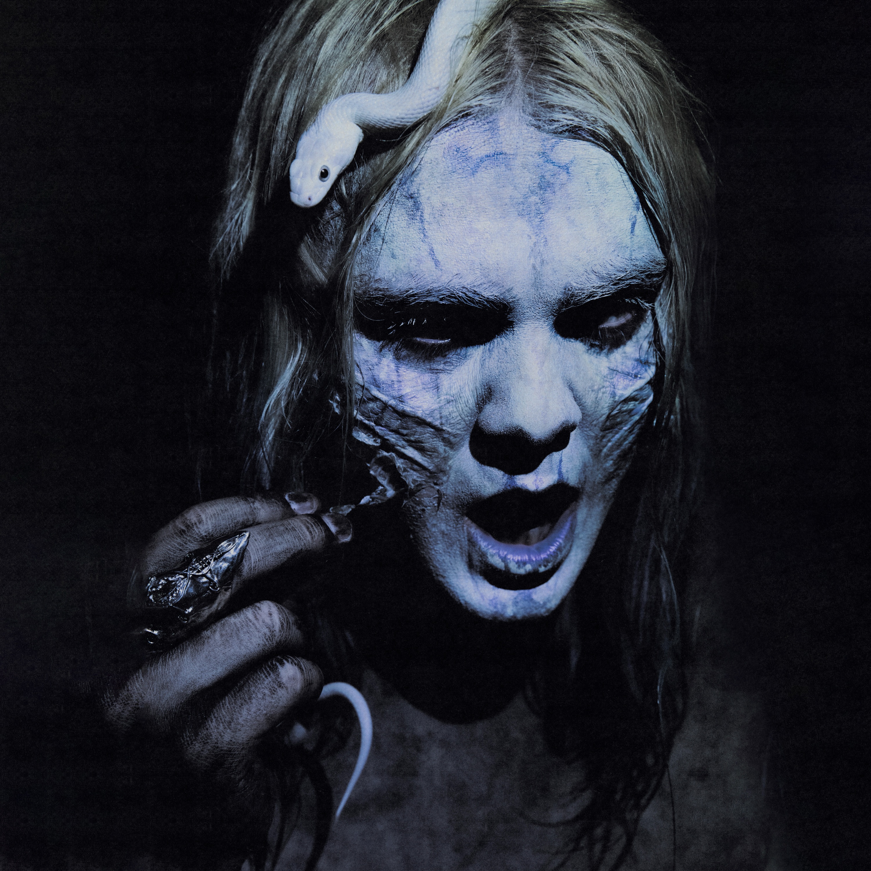 Kim Dracula Portrait