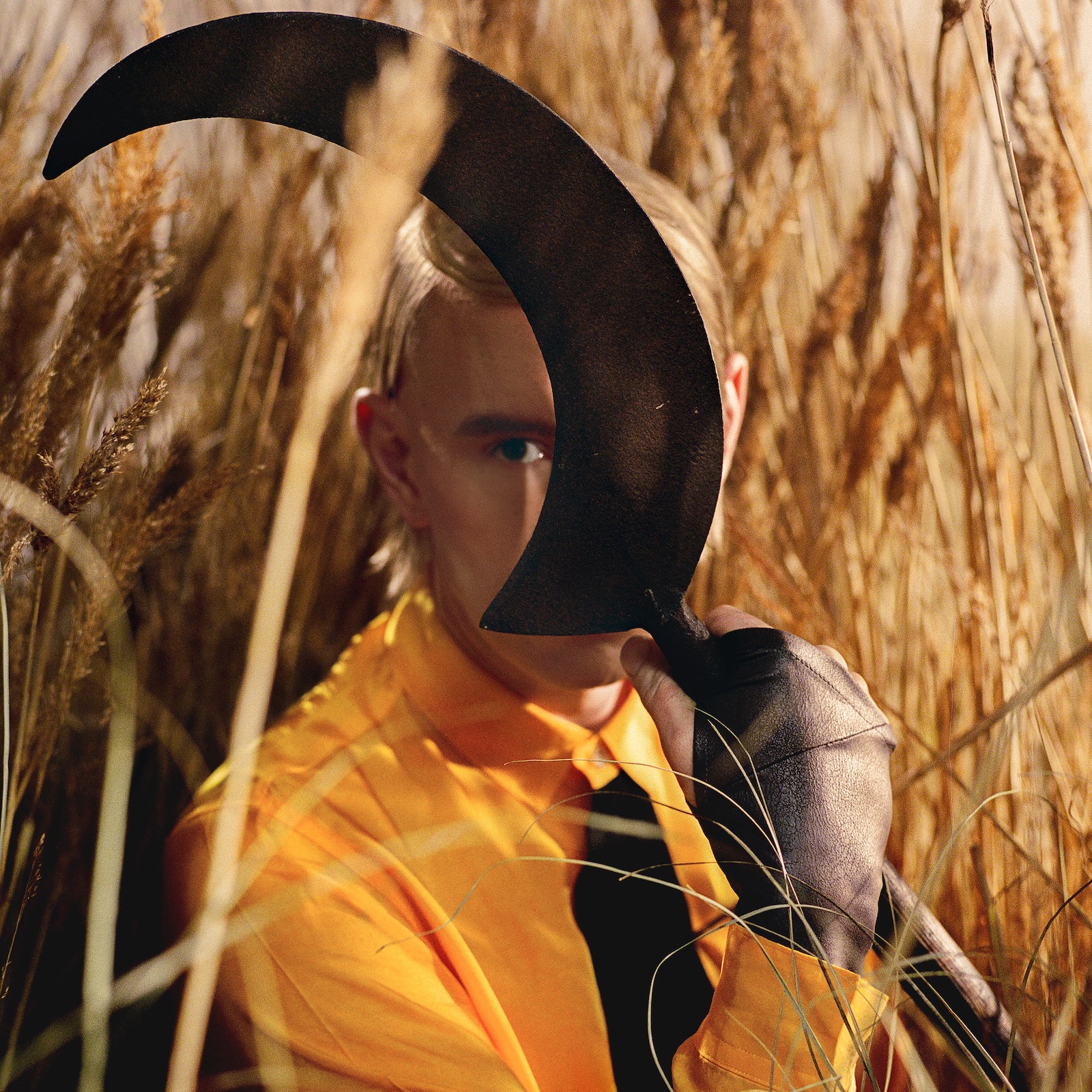 Patrick Wolf Portrait