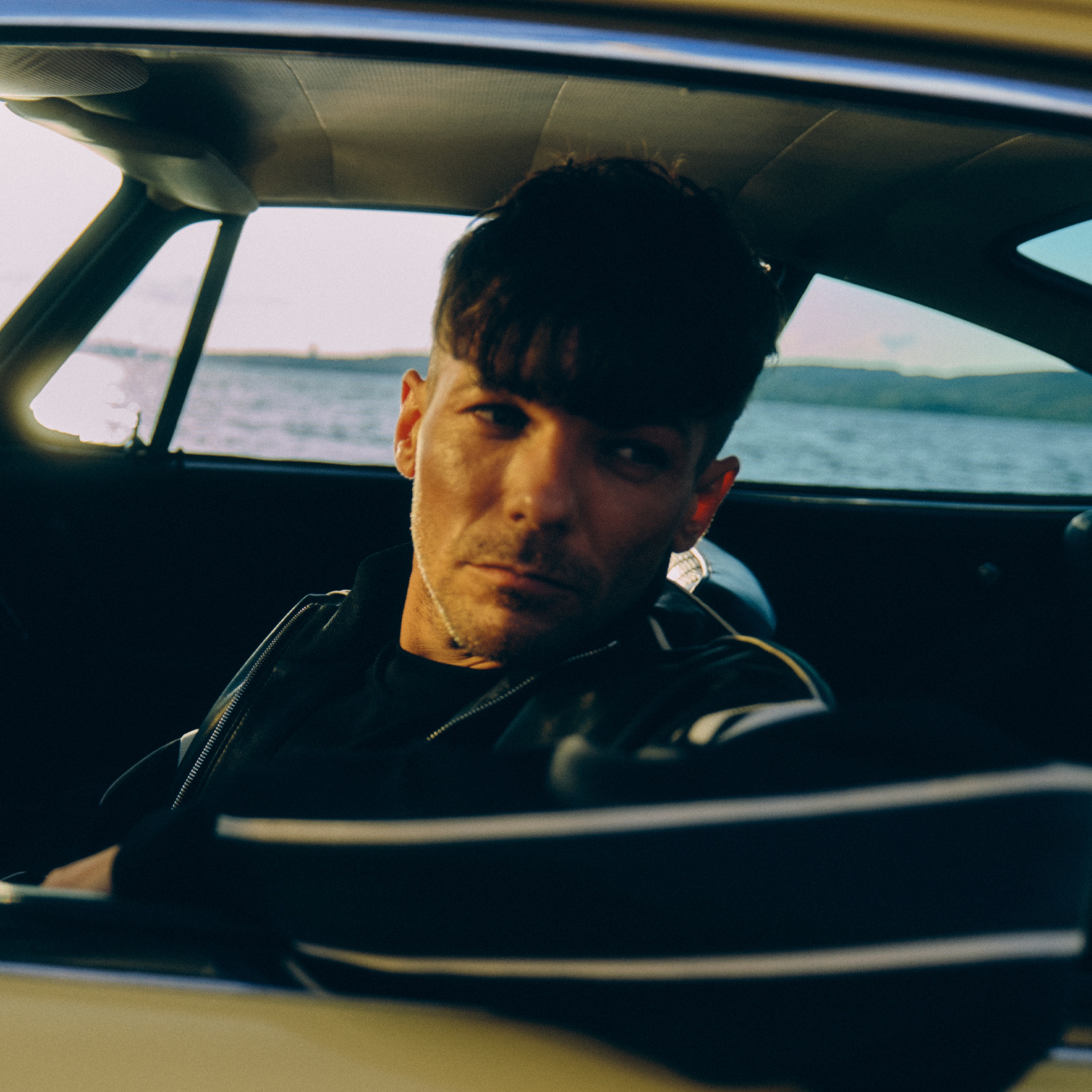 Louis Tomlinson Portrait