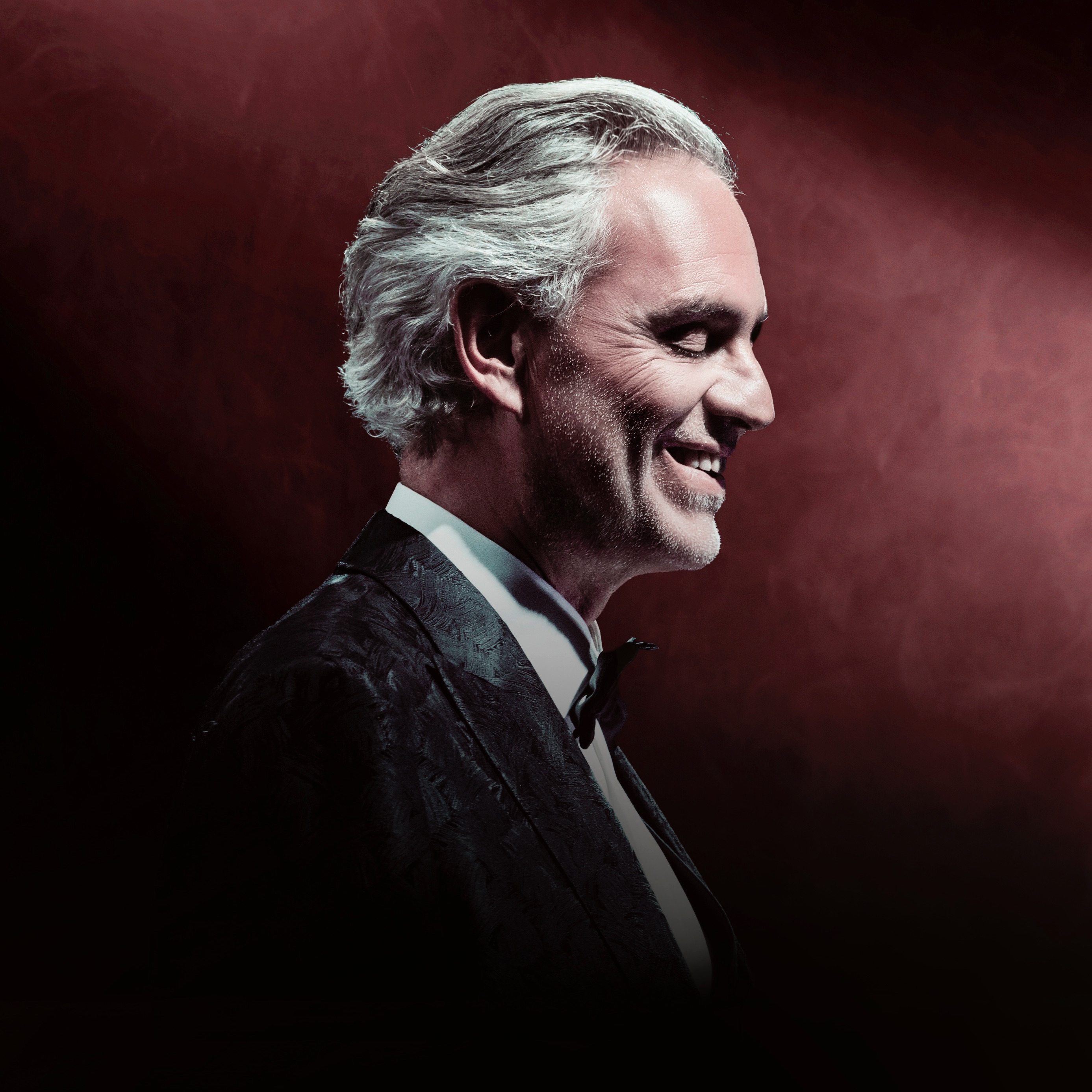 Andrea Bocelli Portrait