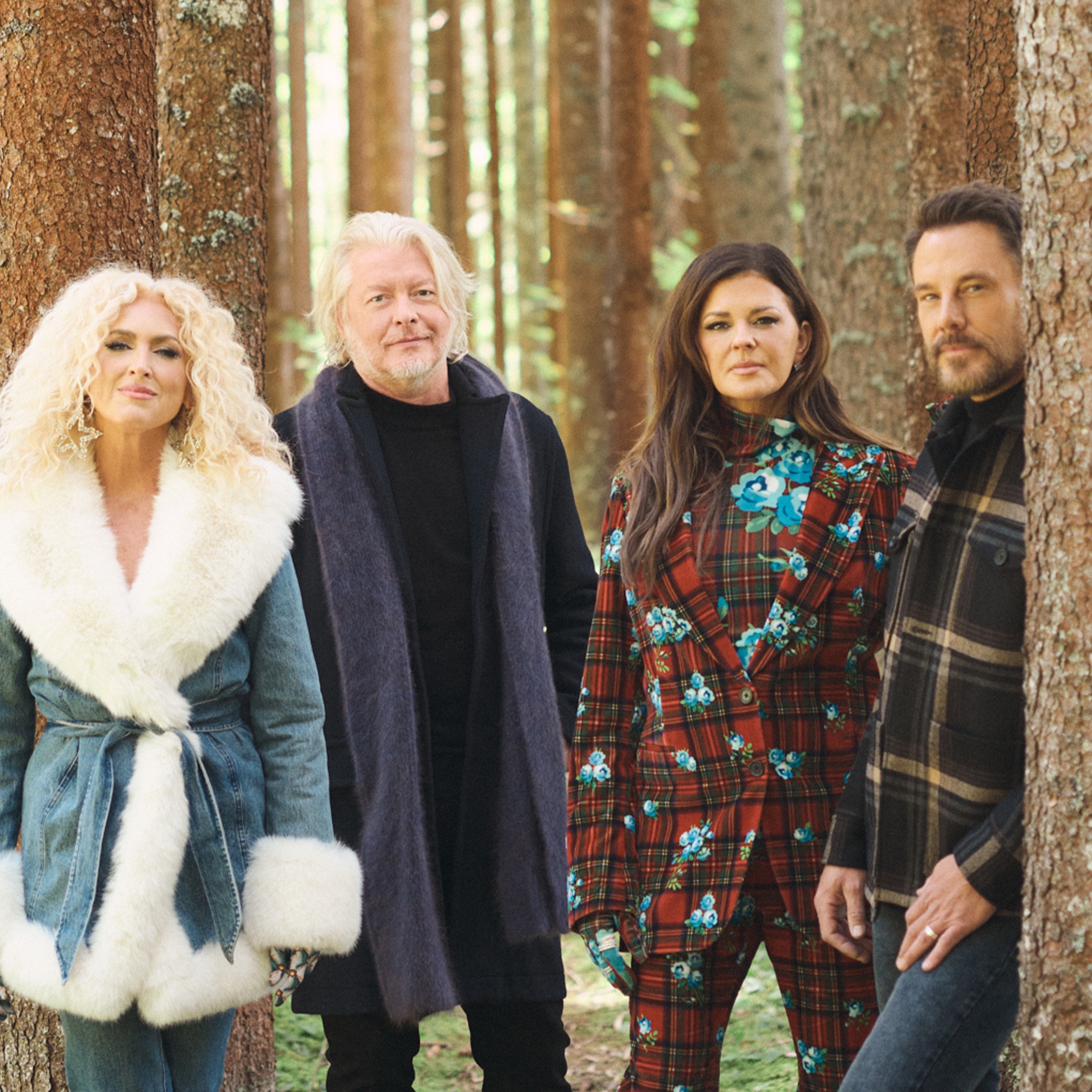 Little Big Town Portrait