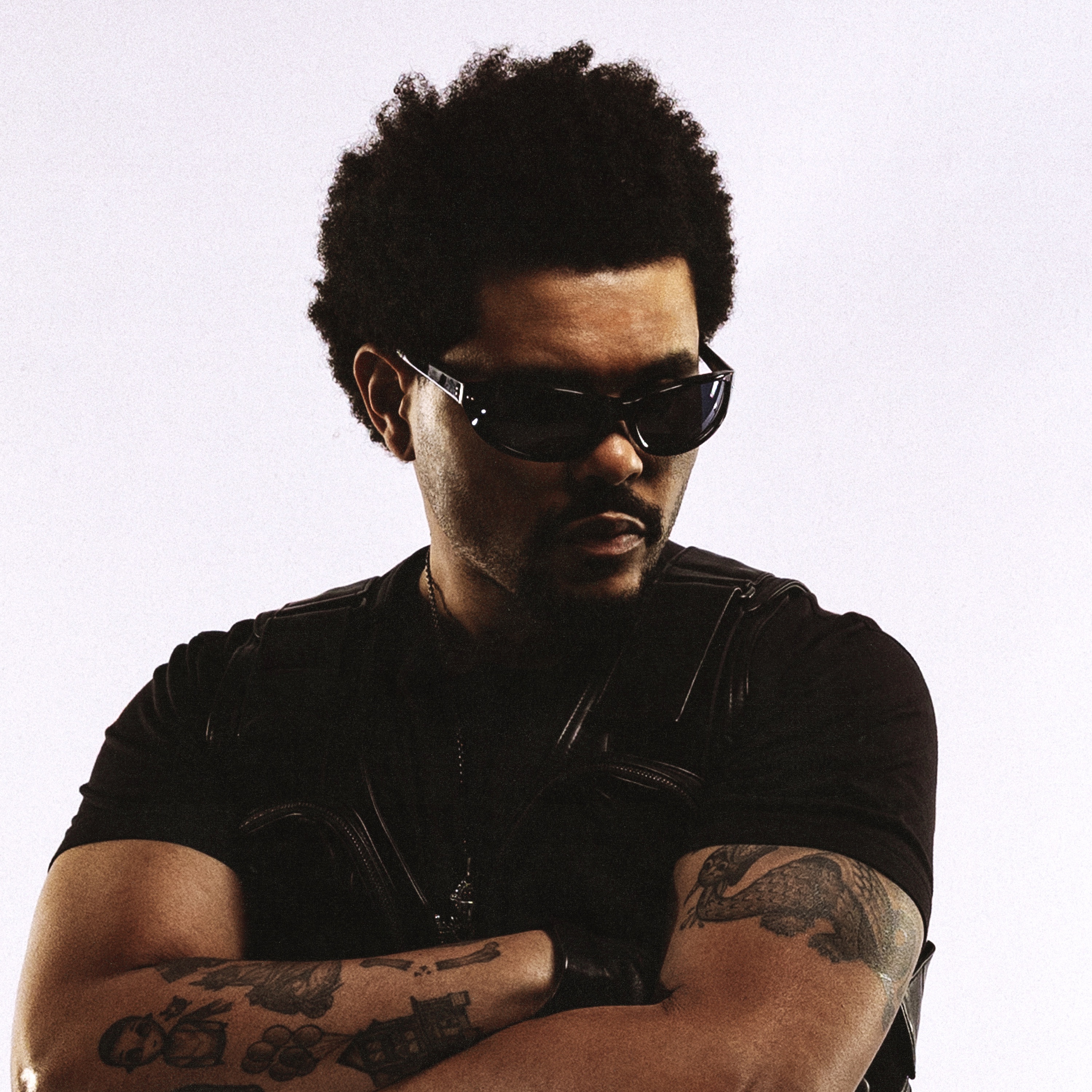 The Weeknd Portrait