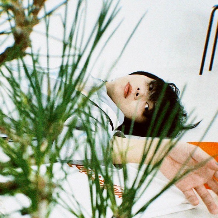 PELICAN FANCLUB Portrait