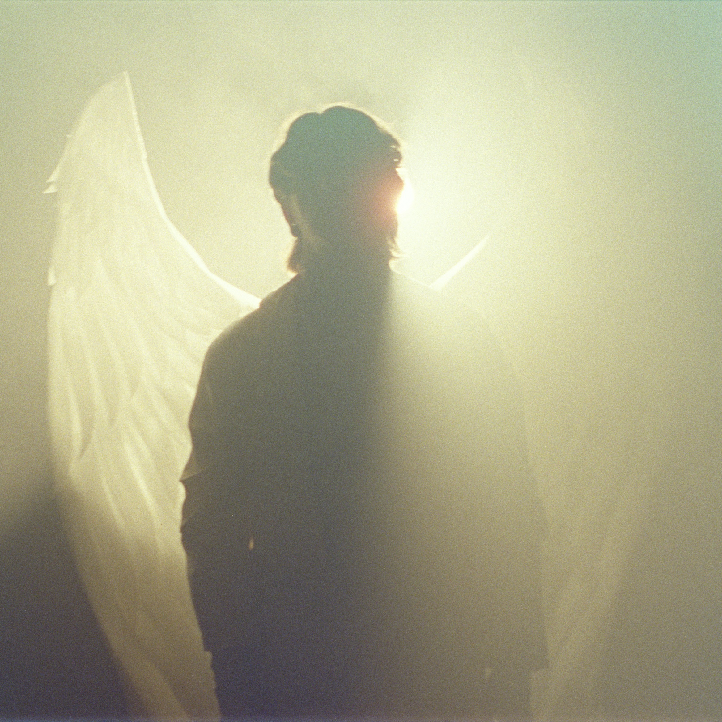 Said The Sky Portrait