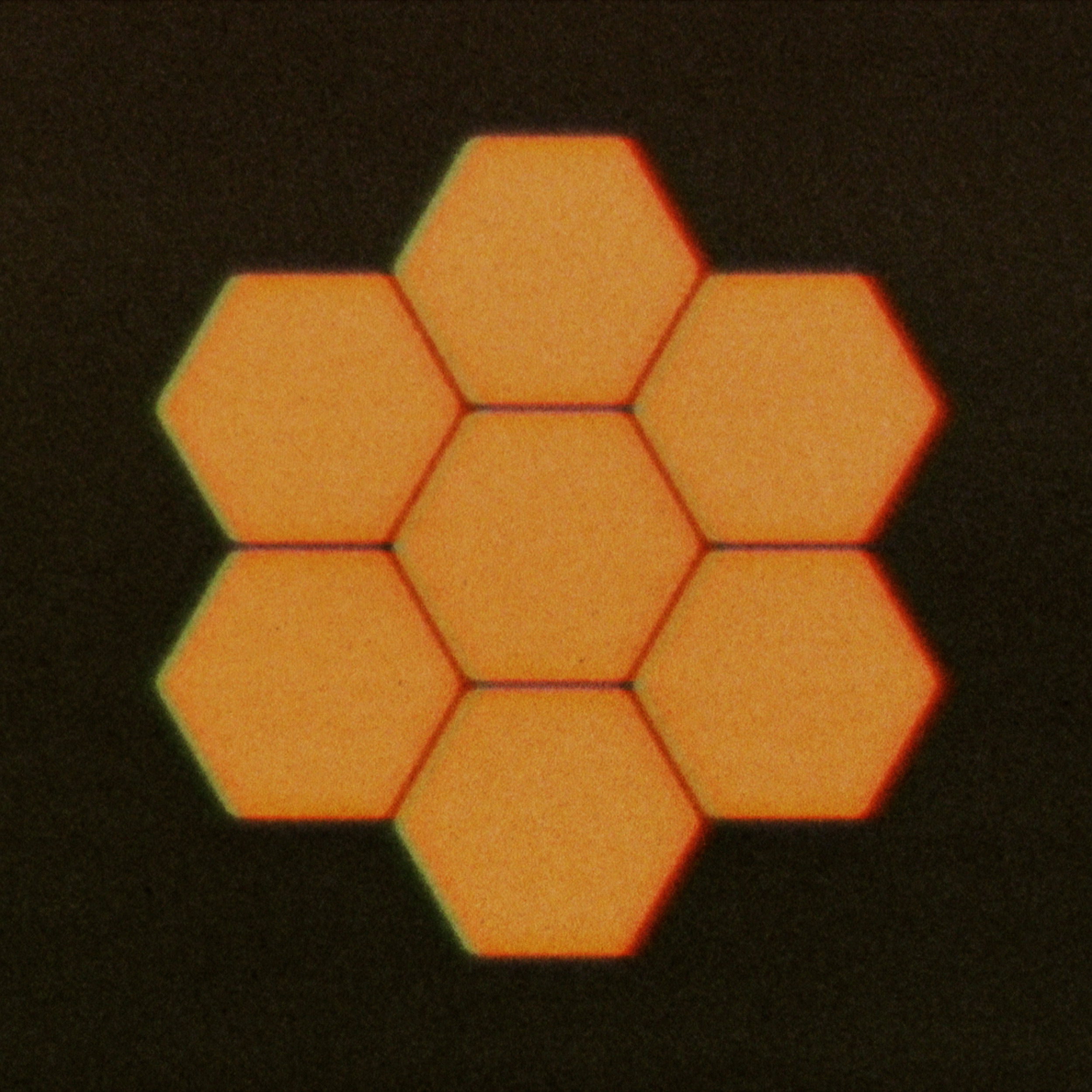 Boards of Canada Portrait