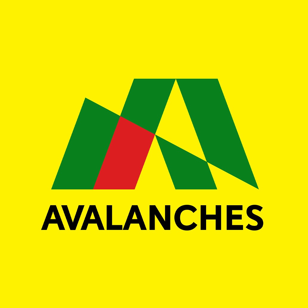 The Avalanches Portrait