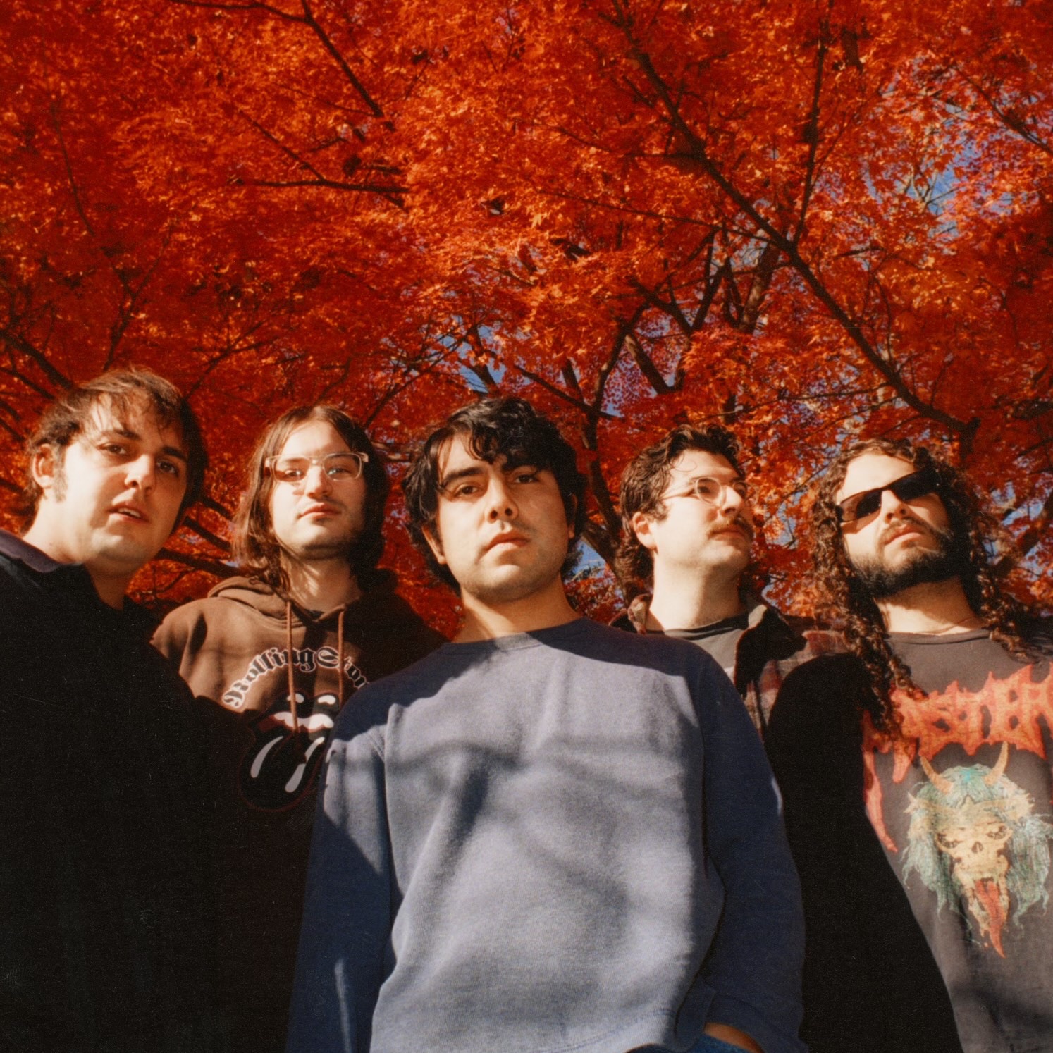 Narrow Head portrait