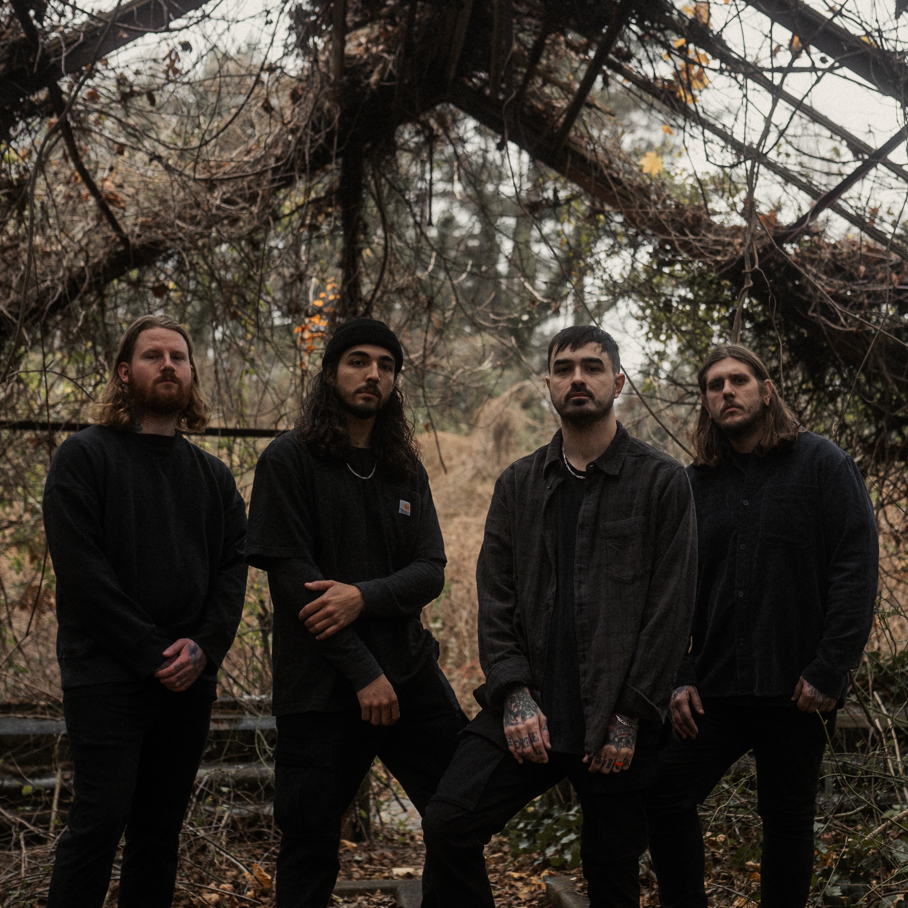 Like Moths to Flames Portrait