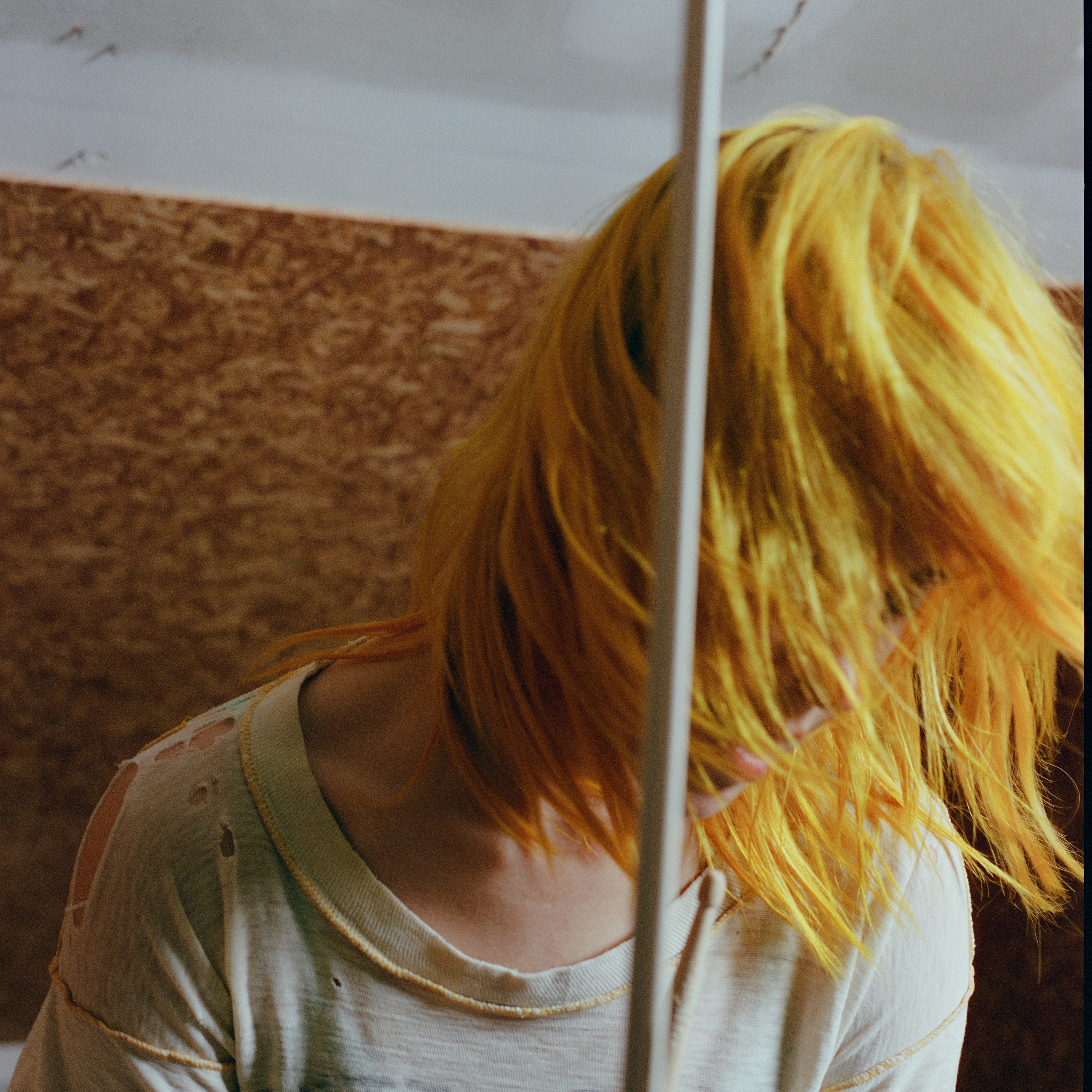 Hayley Williams Portrait