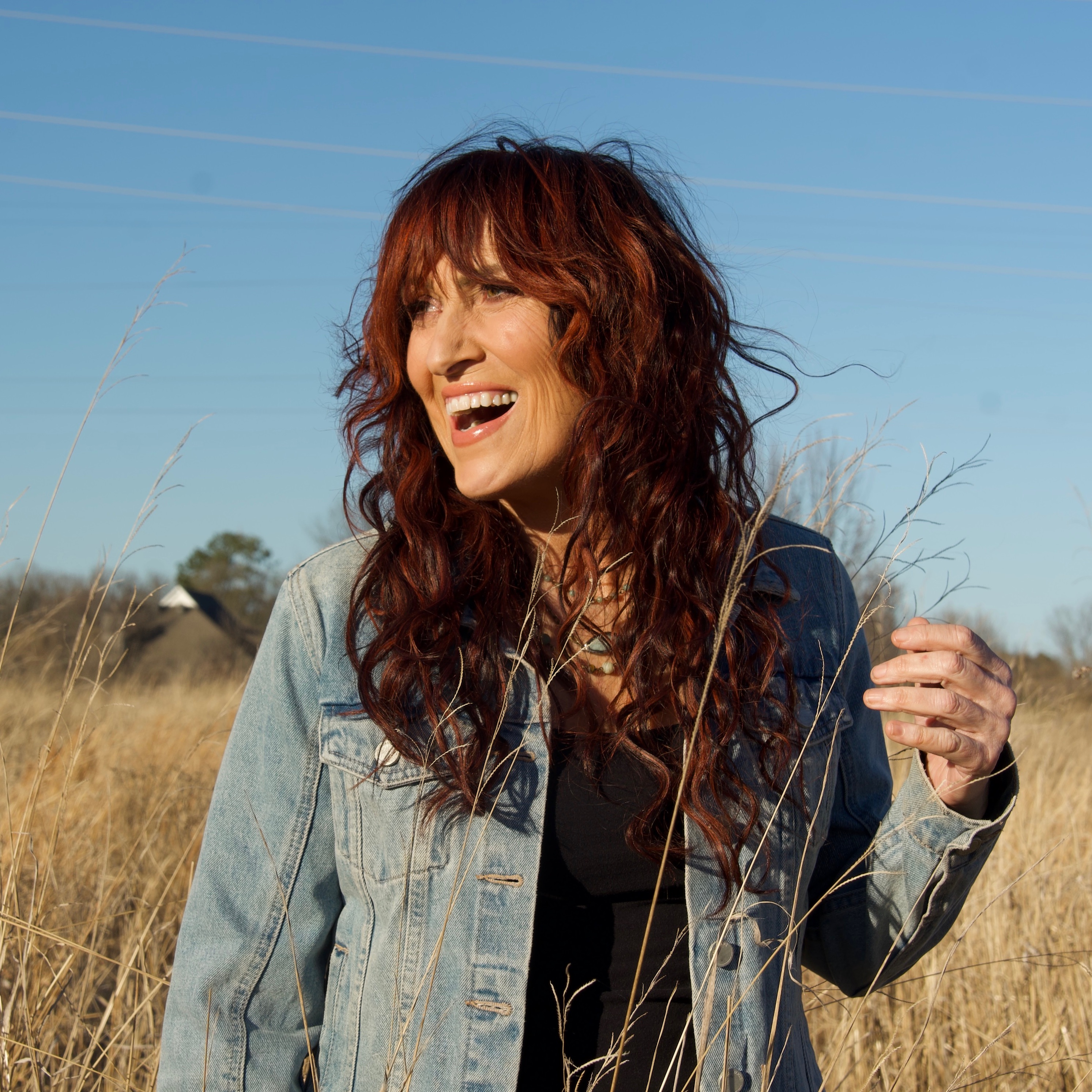 Jo Dee Messina Portrait