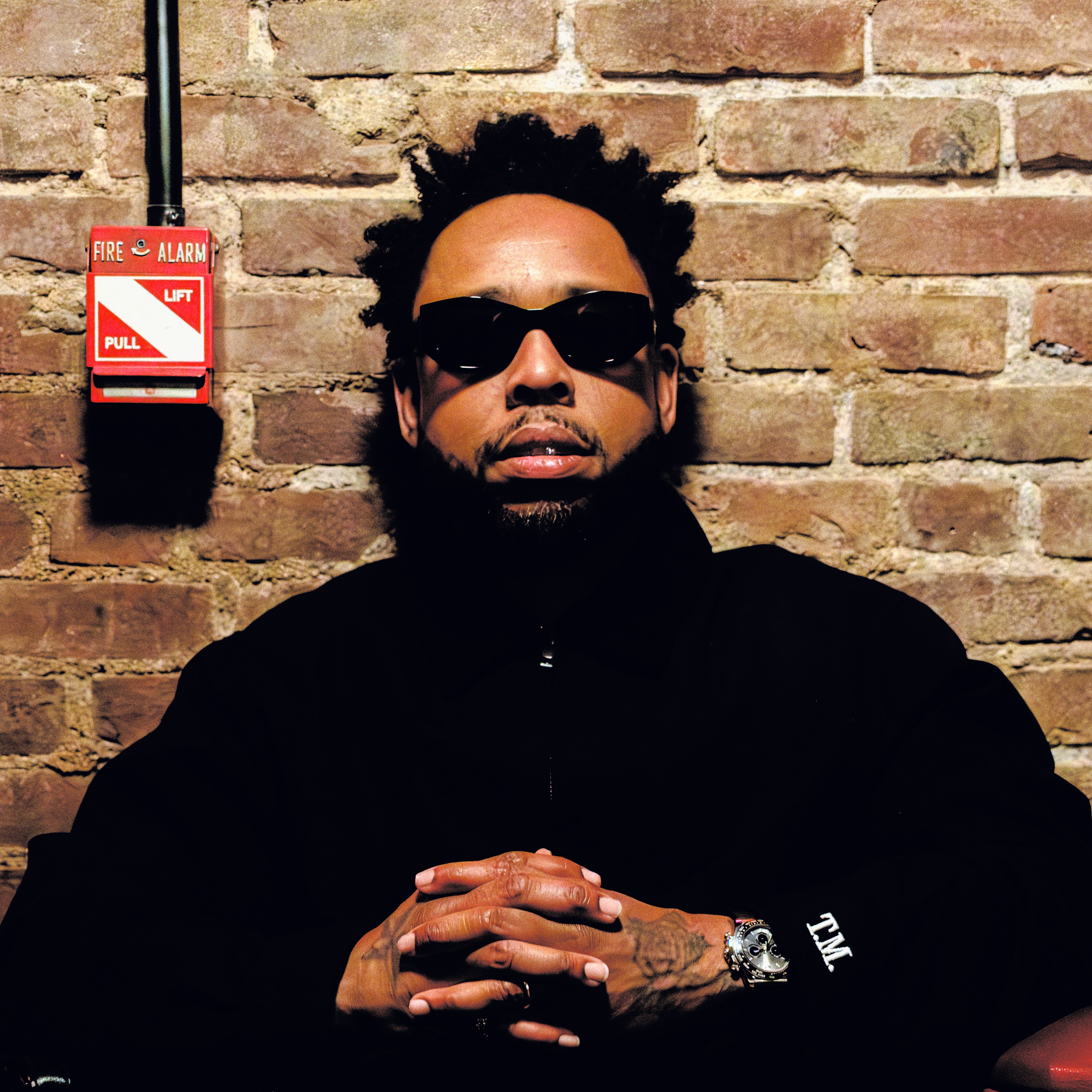 Terrace Martin Portrait