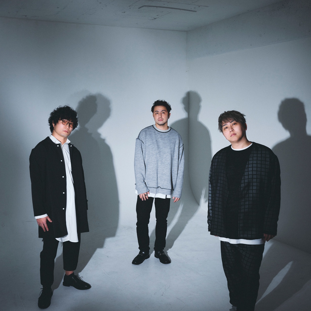 fox capture plan Portrait