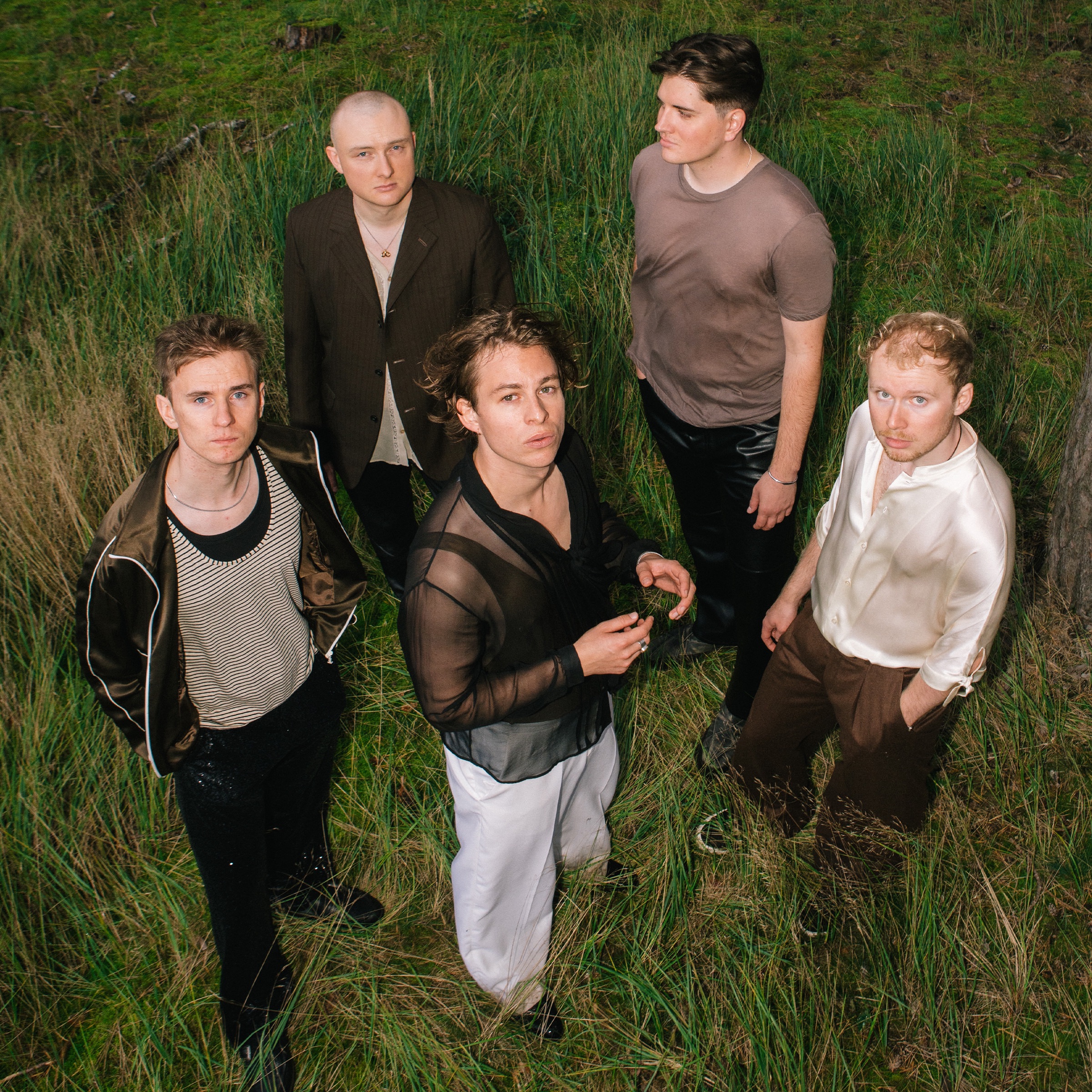 Giant Rooks Portrait