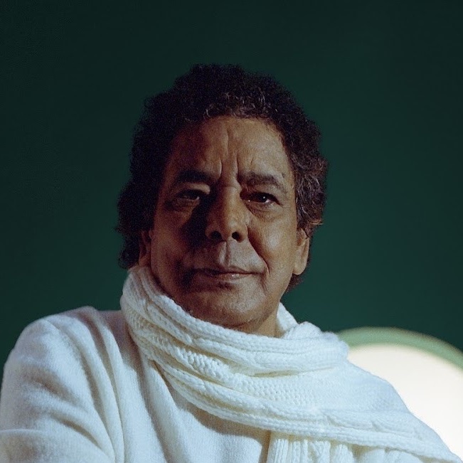 Mohamed Mounir portrait