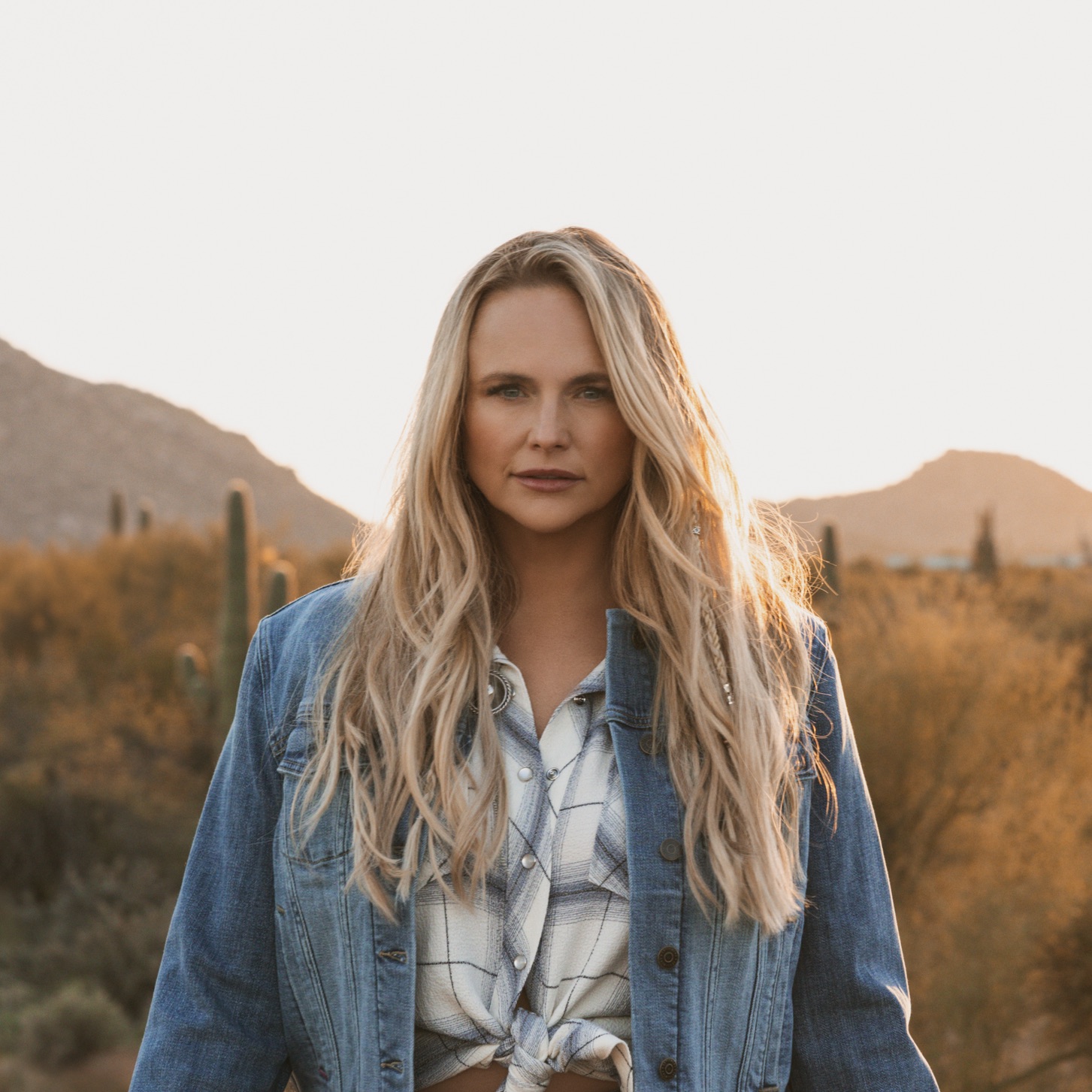Miranda Lambert Portrait