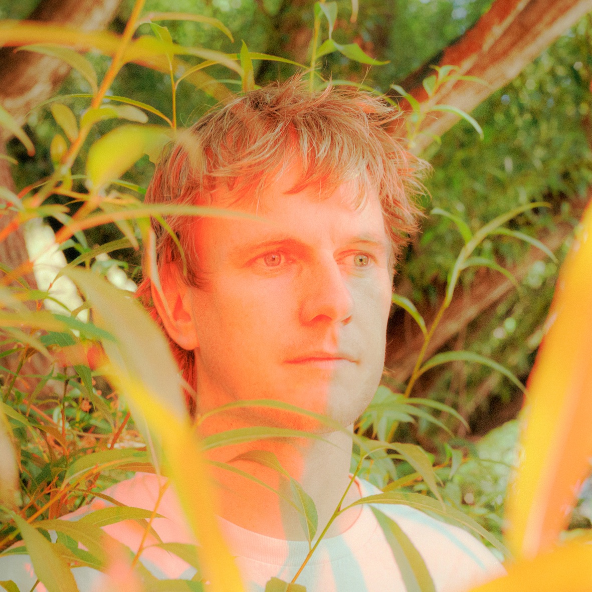 Sunbeam Sound Machine Portrait