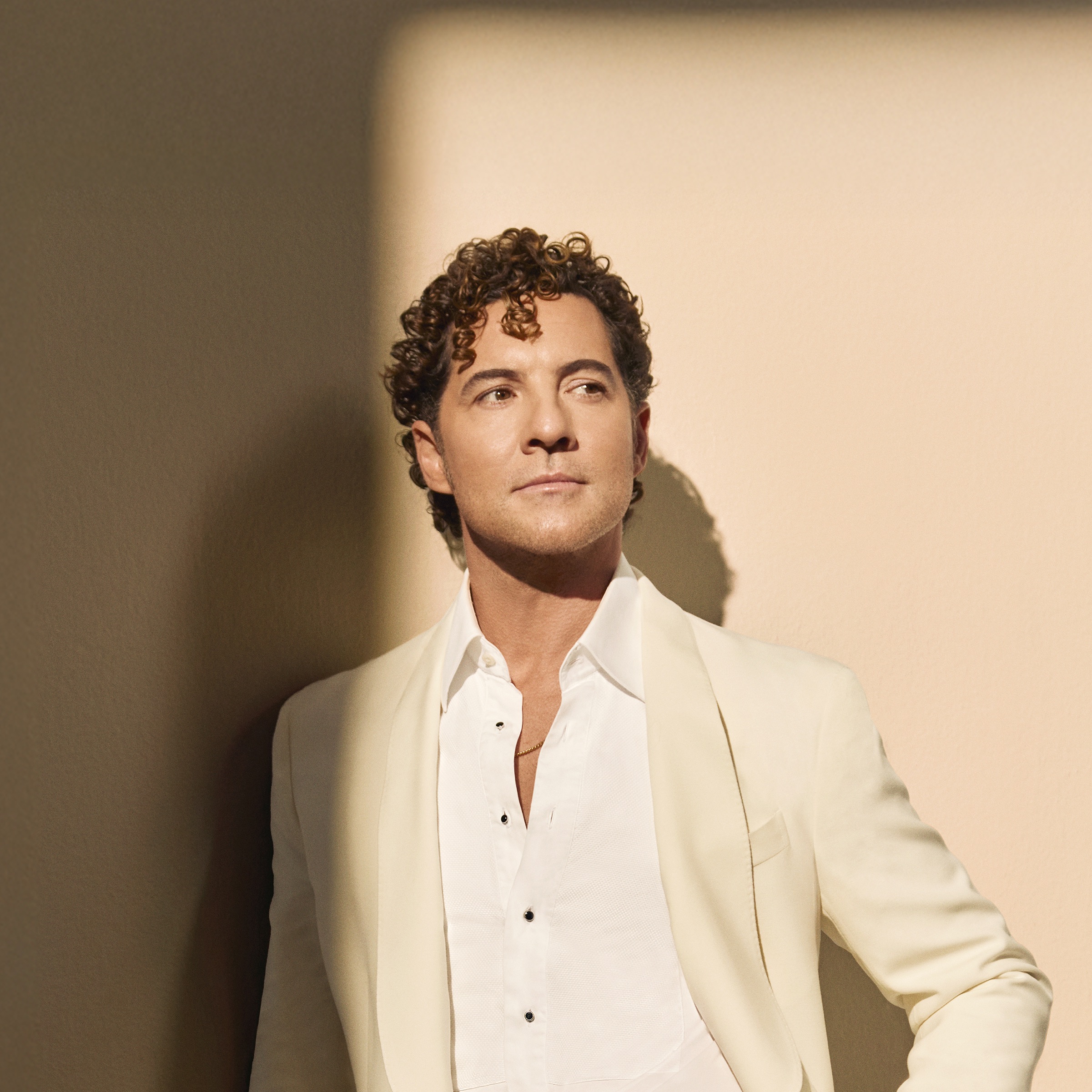 David Bisbal portrait