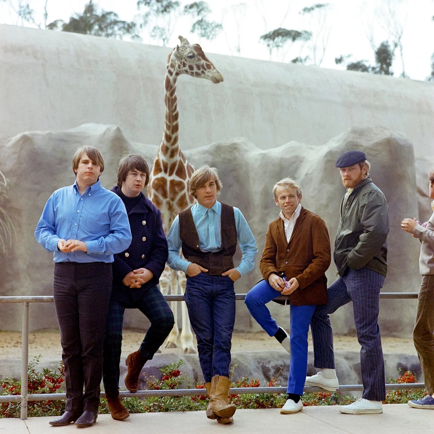 The Beach Boys Portrait