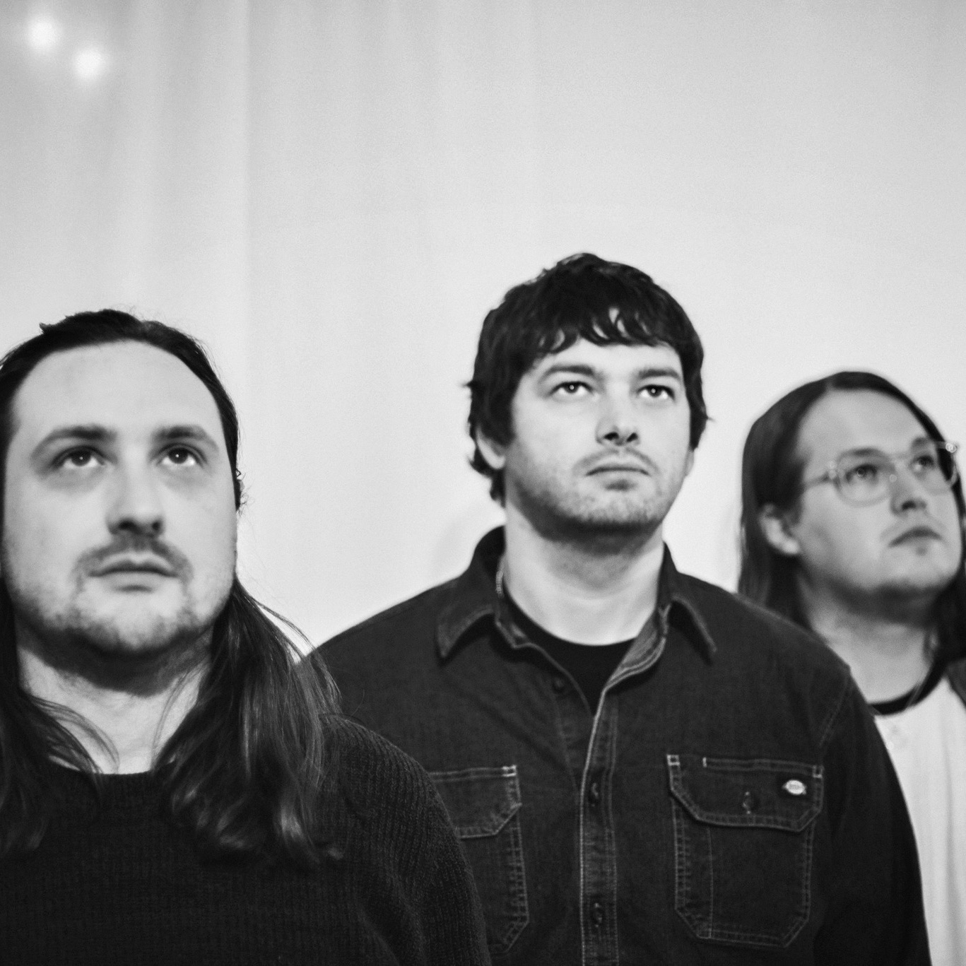 Webbed Wing Portrait