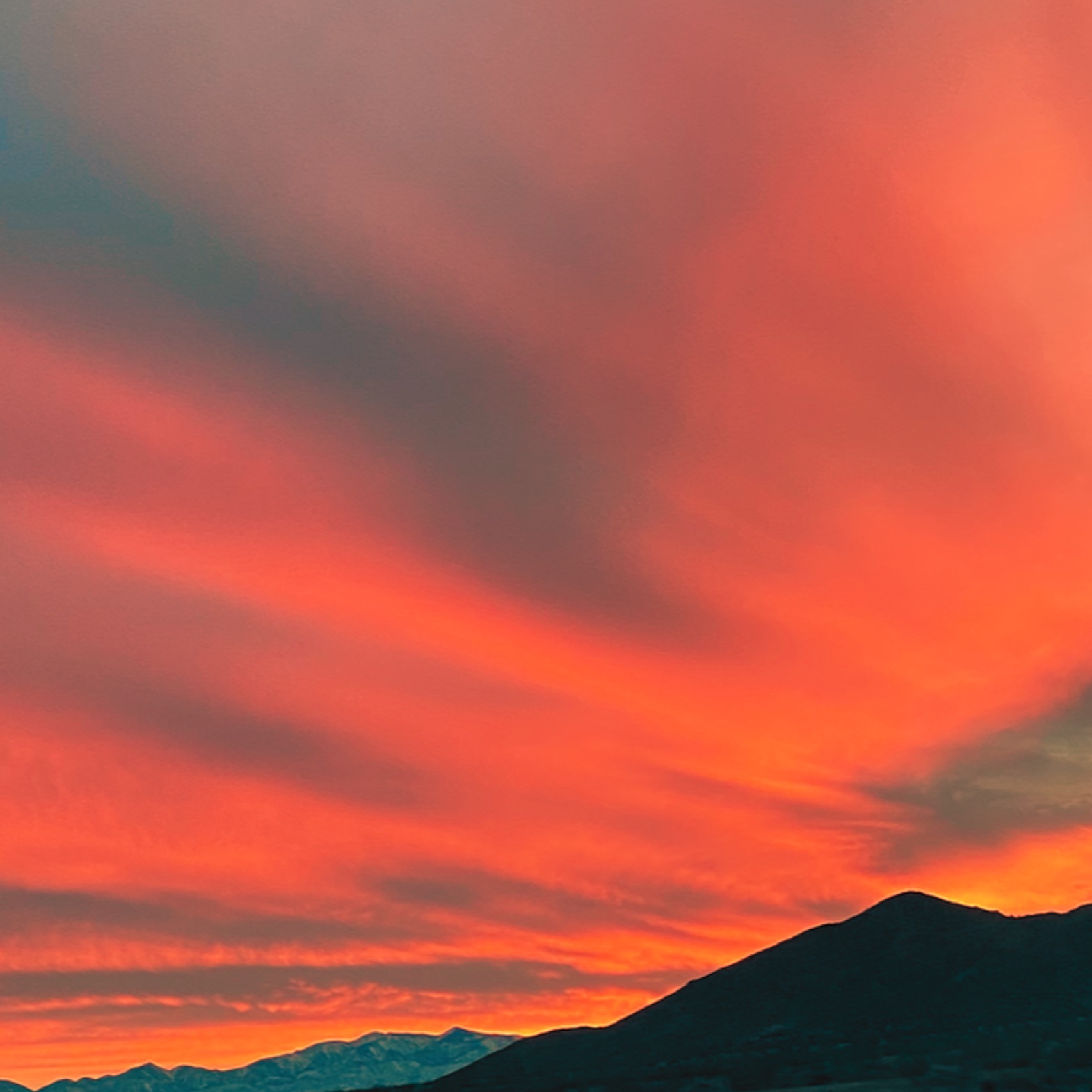Big Sky Blue portrait
