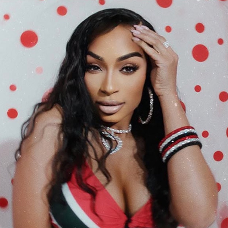 Karlie Redd Portrait