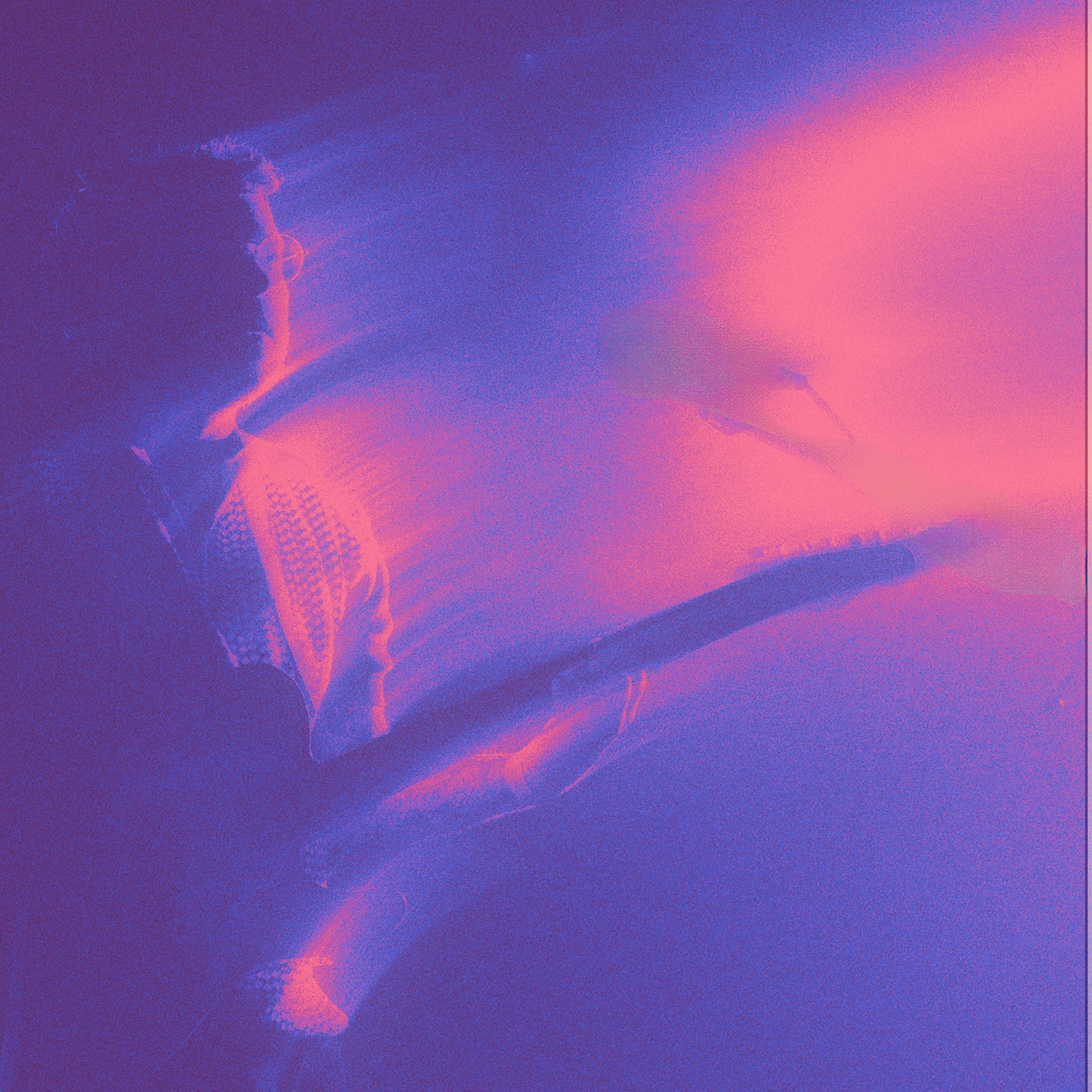 Cathedral Bells portrait