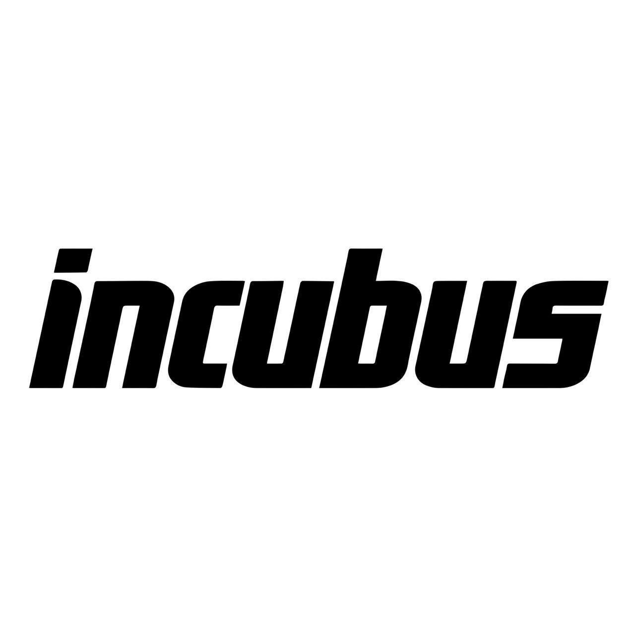 Incubus Portrait