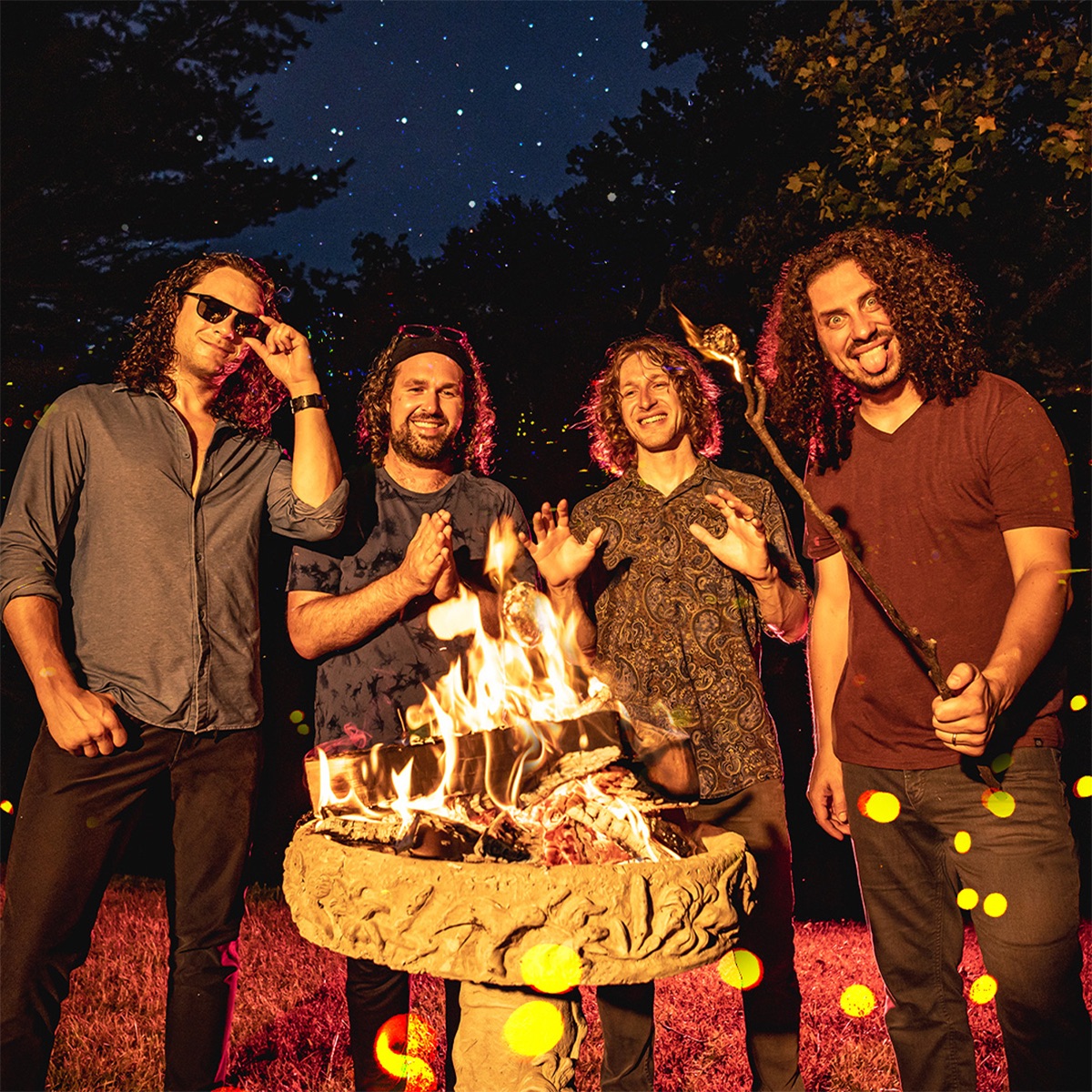 Pigeons Playing Ping Pong Portrait