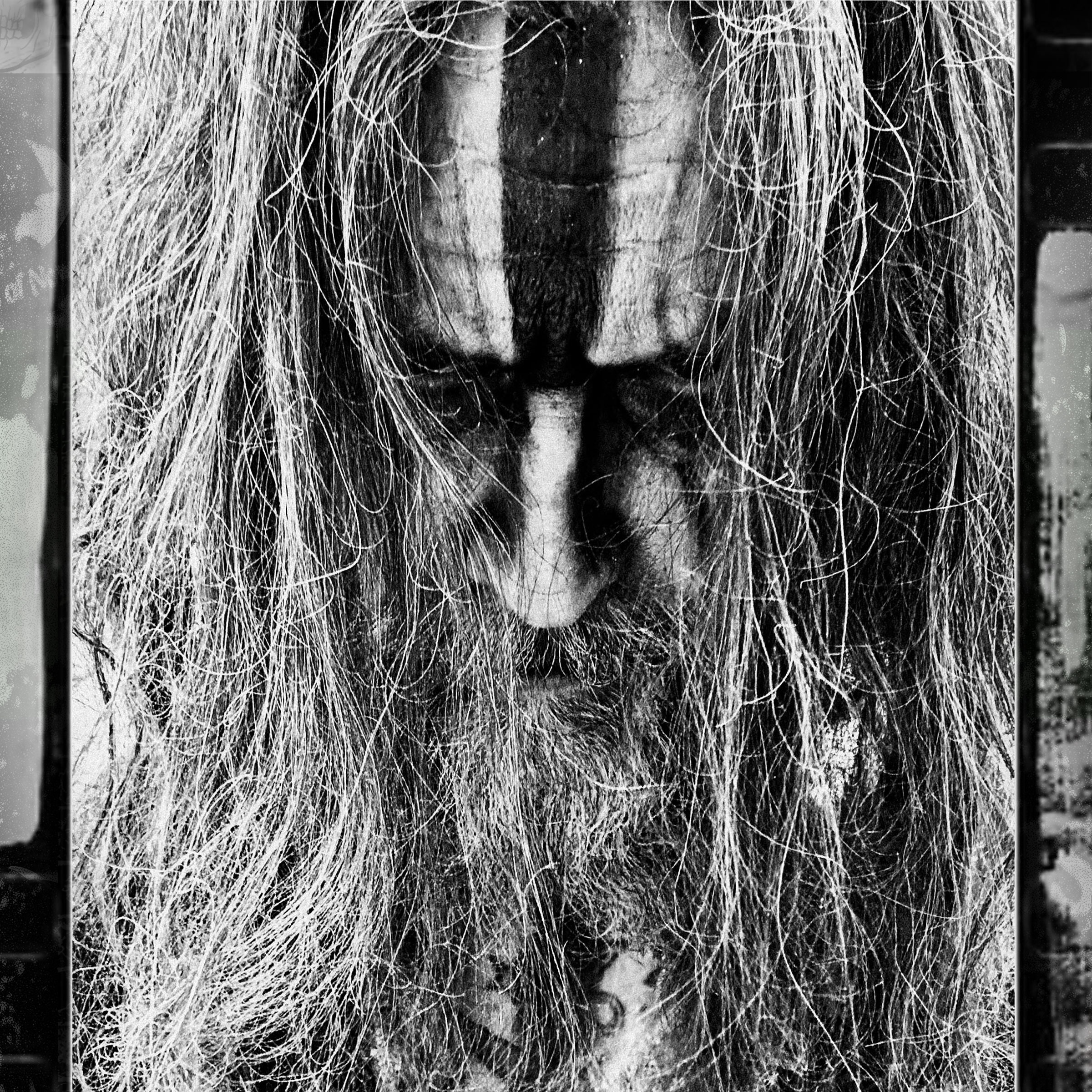 Rob Zombie Portrait