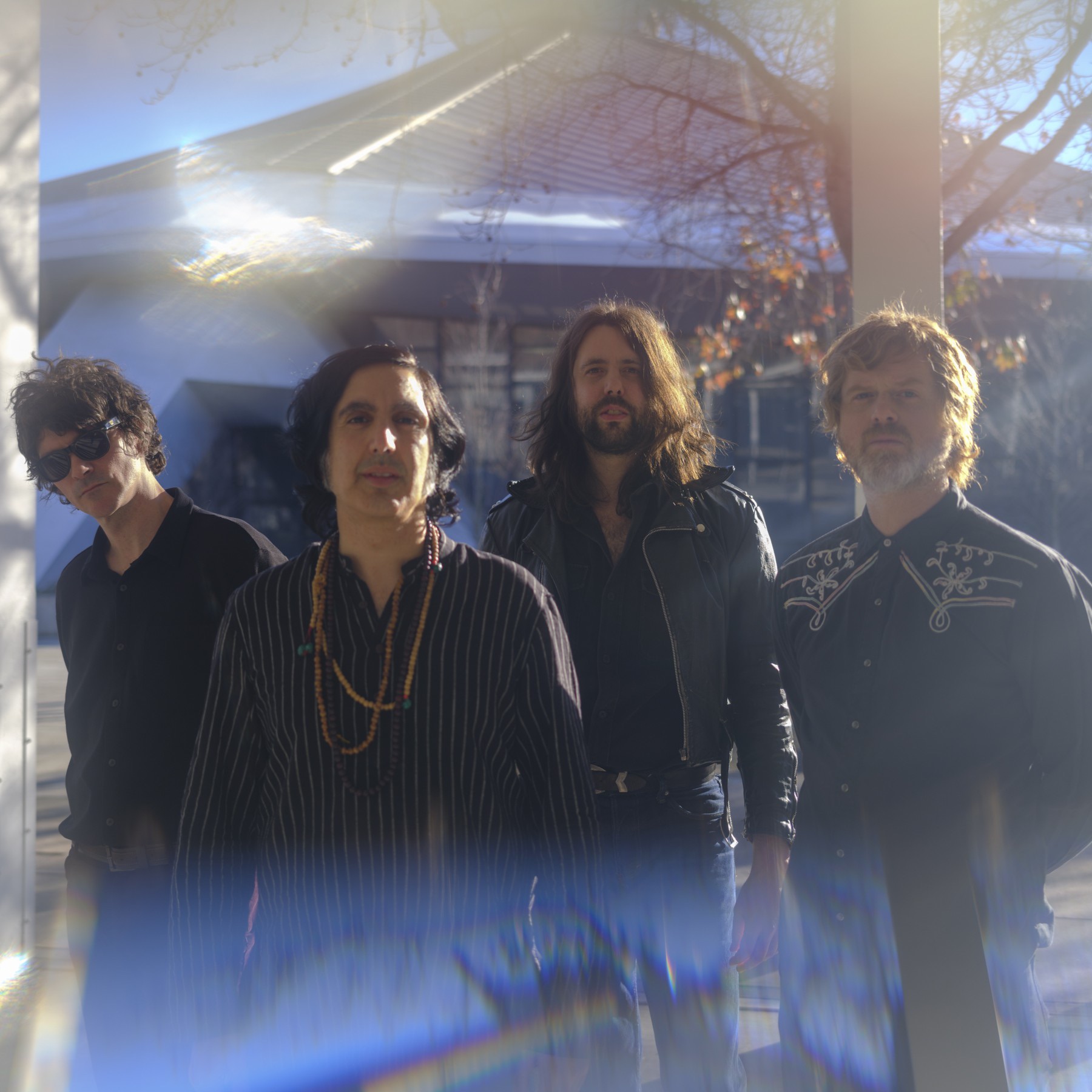 Elephant Stone Portrait