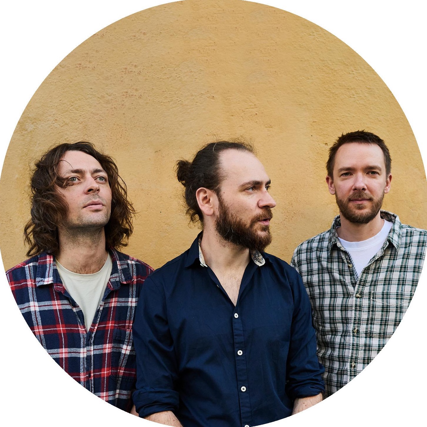 Mammal Hands Portrait